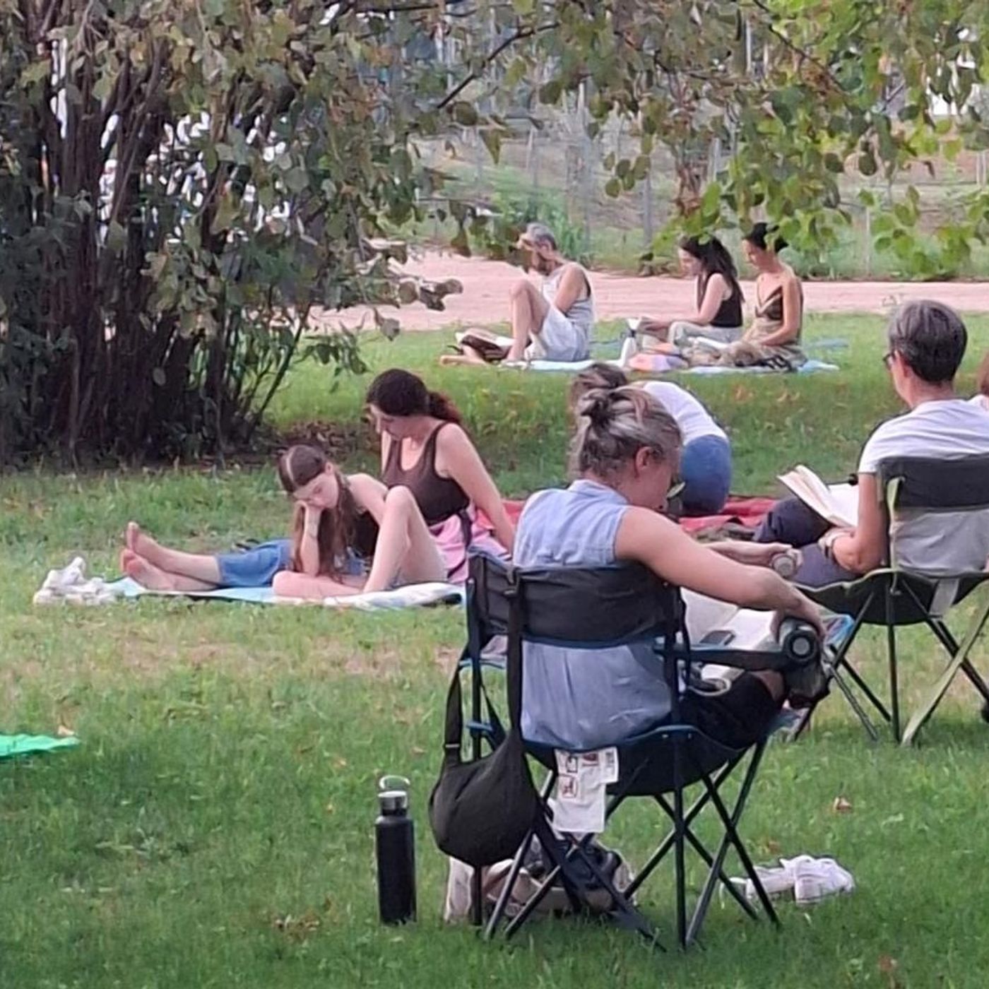 Il fascino della lettura insieme nel parco: successo per il Silent reading party episode artwork