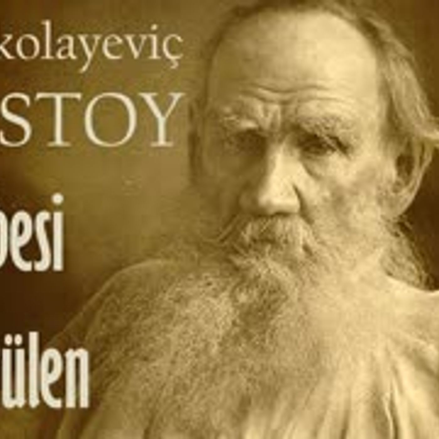 Kitap Okumaları