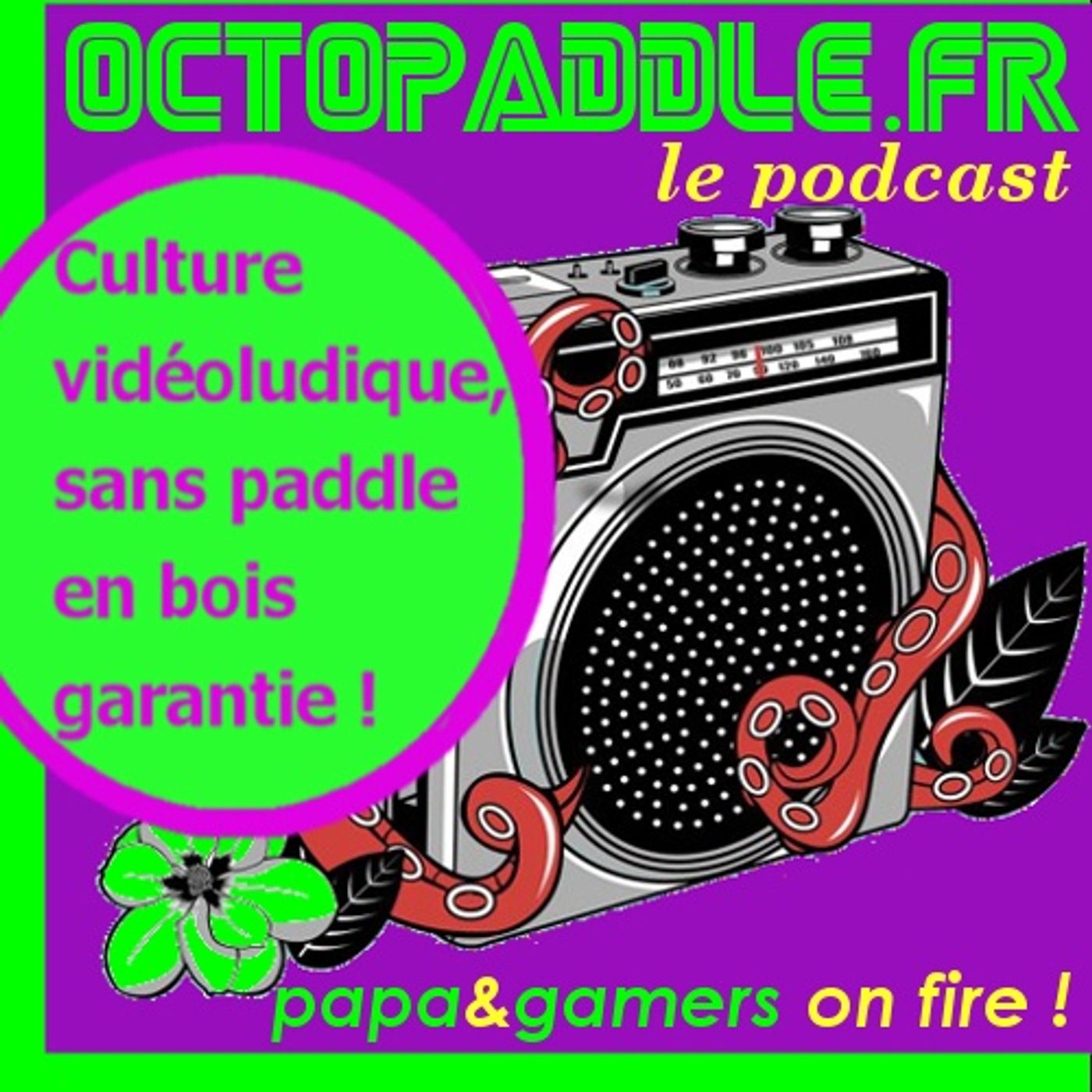 Papagamer© on fire's show
