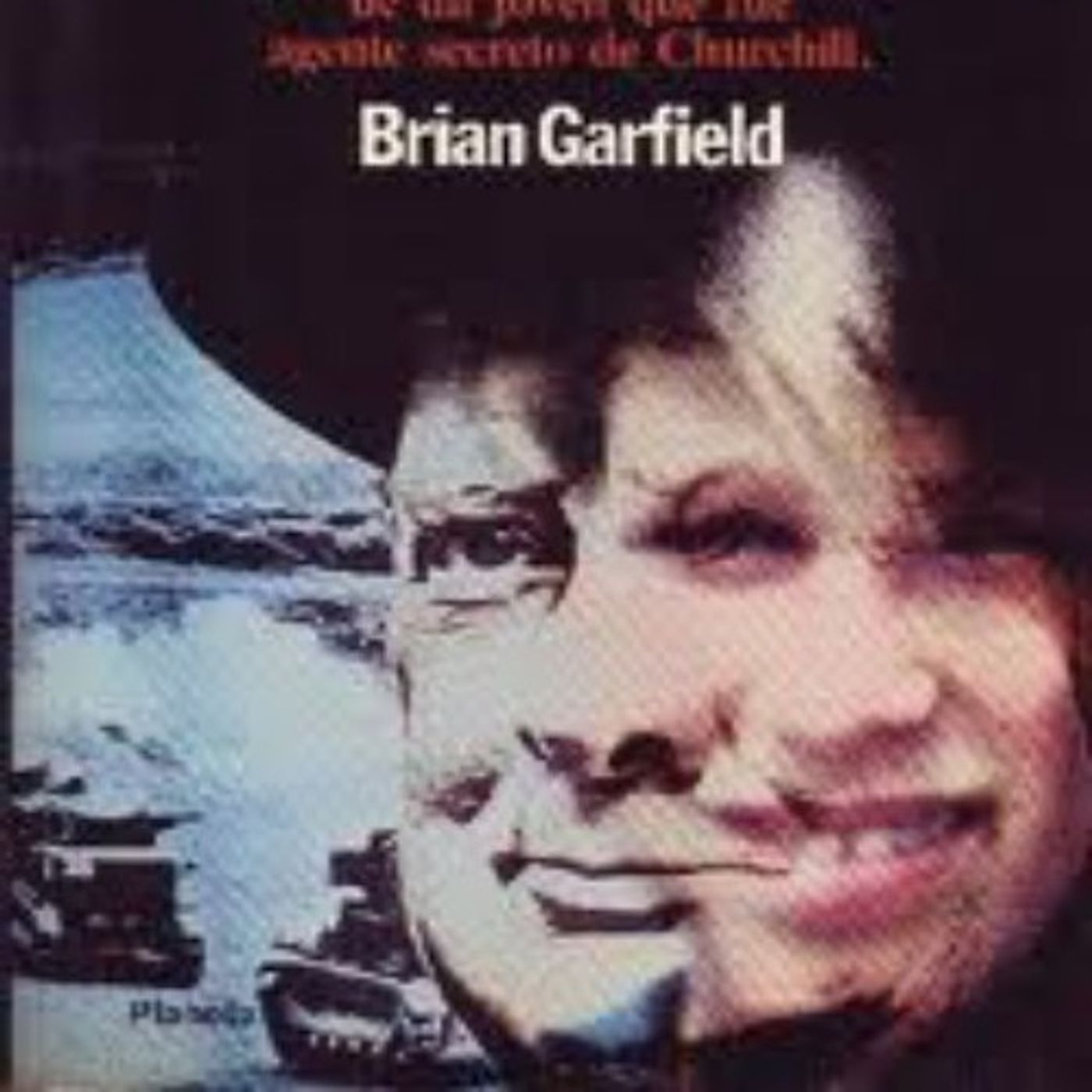 (Resumen) El paladin - Brian Garfield