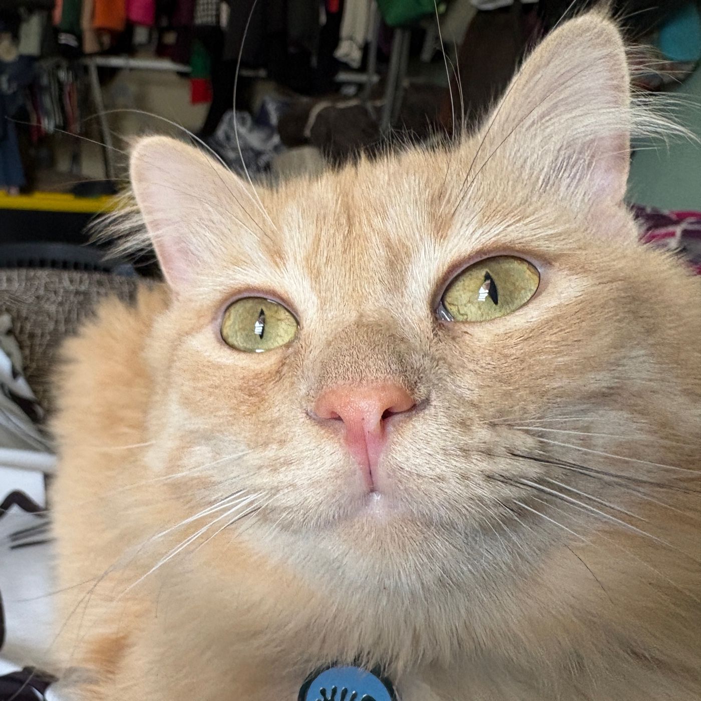 Entre emojis y palabras