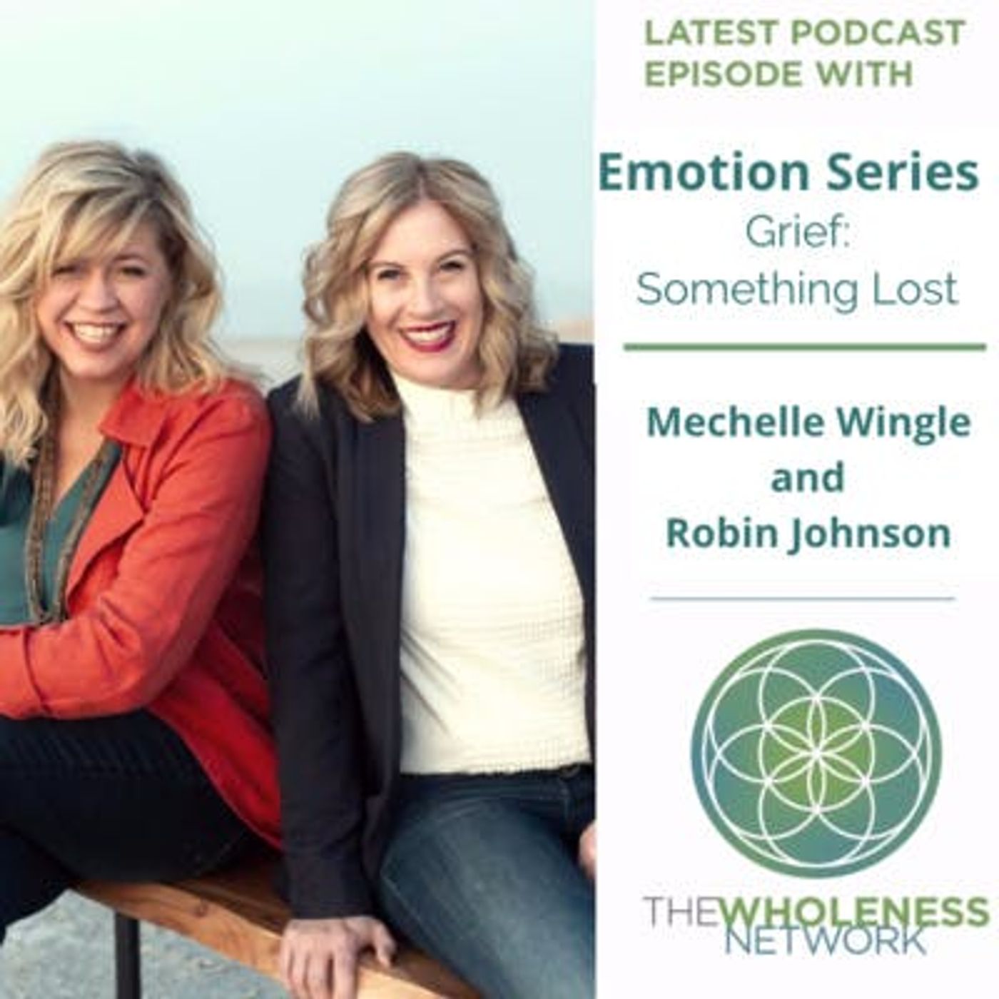 44. Emotions Series - Grief episode artwork
