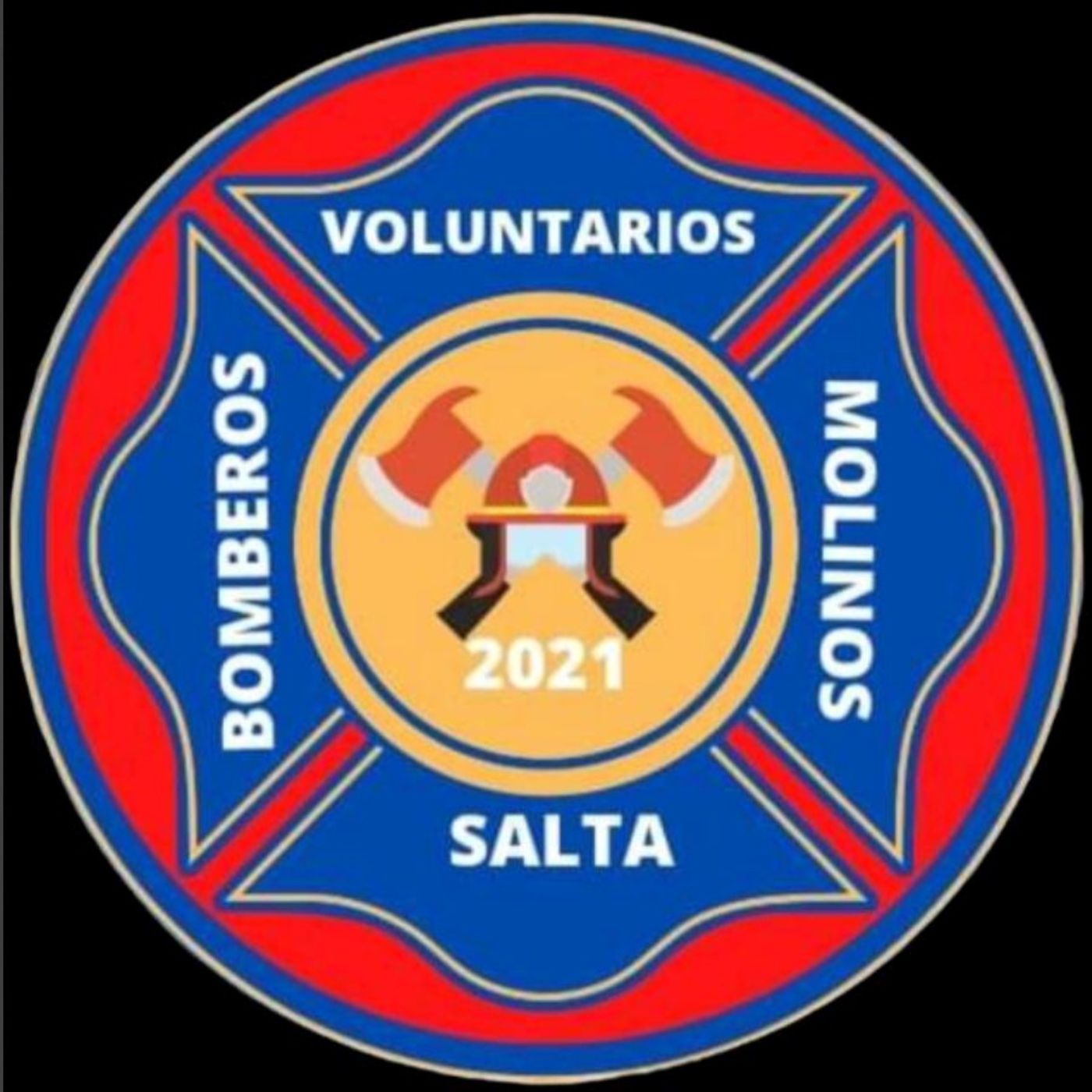 Voluntarios en Accion