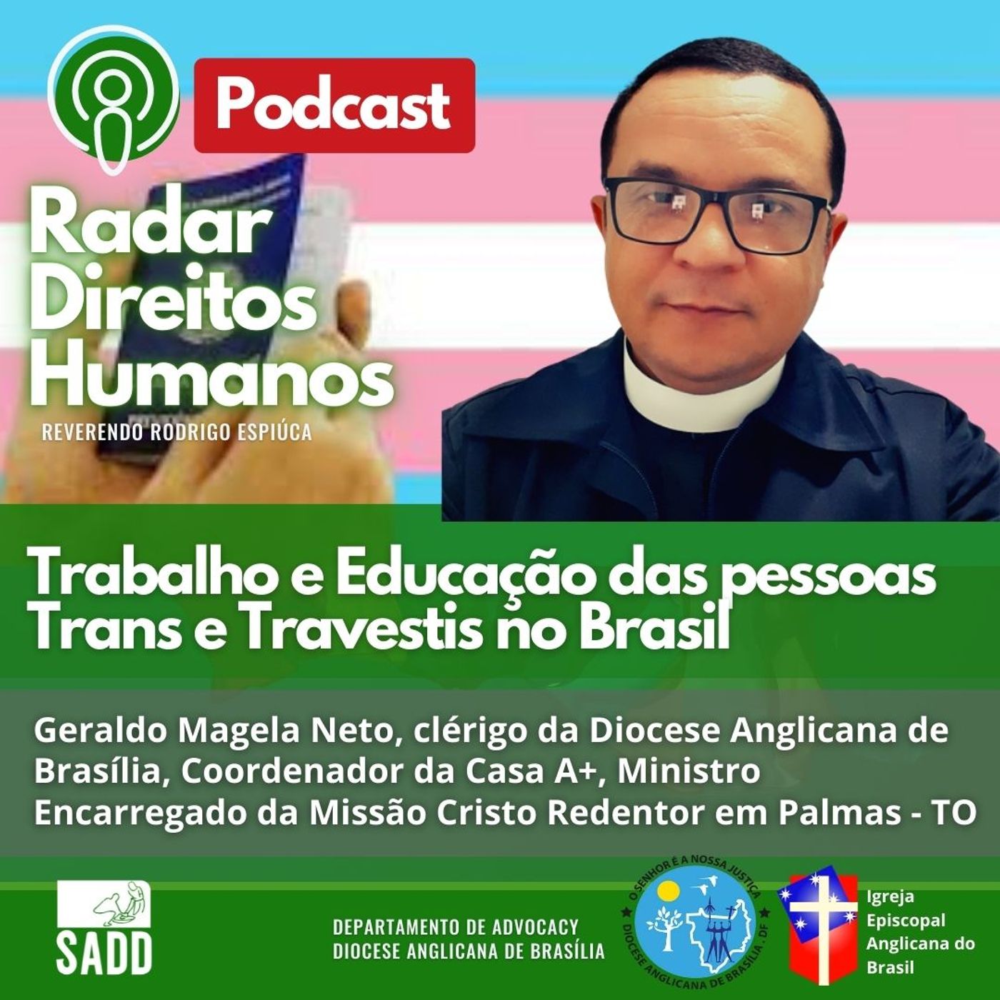 #009 - Trabalho e Educação das pessoas Trans e Travestis no Brasil episode artwork