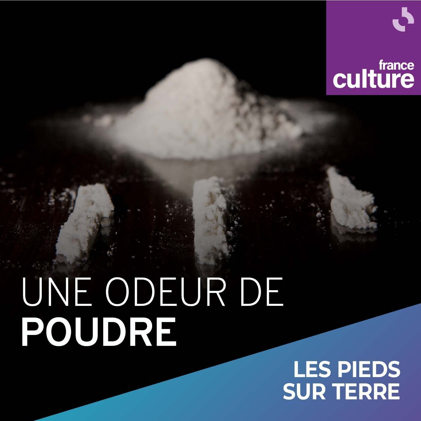 Une odeur de poudre 6/7 : Sniffer en travaillant episode artwork