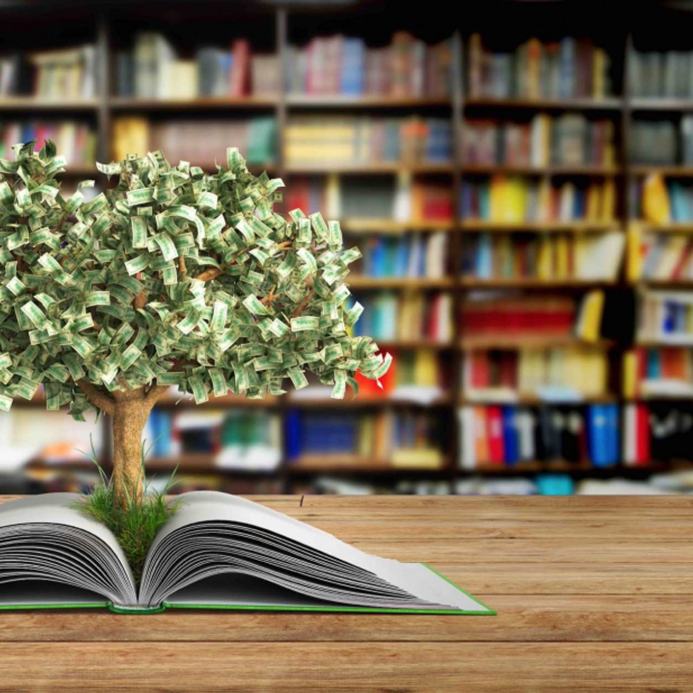 Le news di Re Soil Foundation