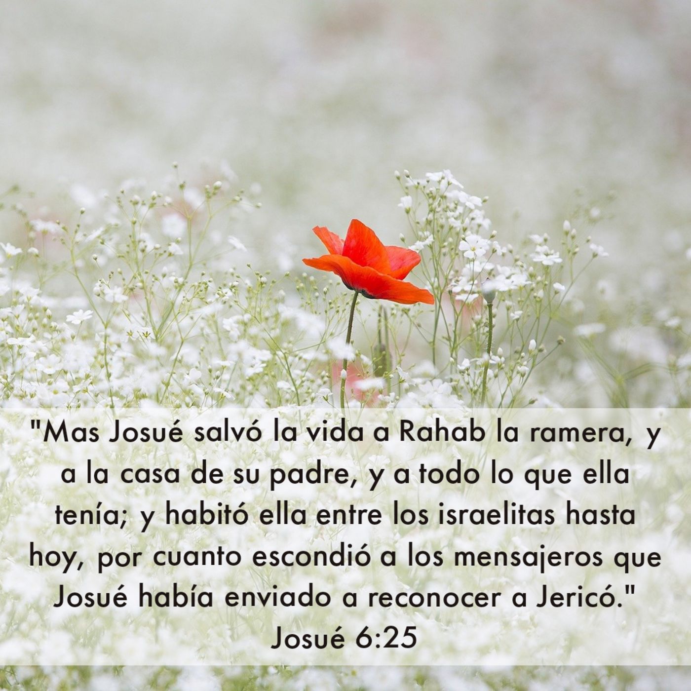 A la Conquista con Dios (Josué)