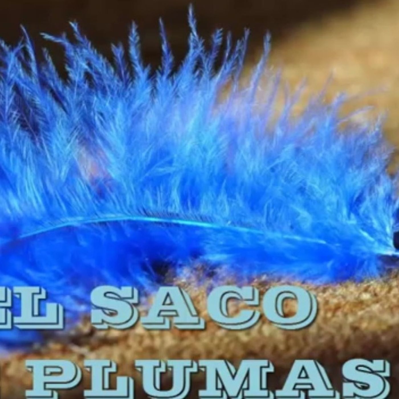 El saco de plumas / Reflexiones cristianas episode artwork