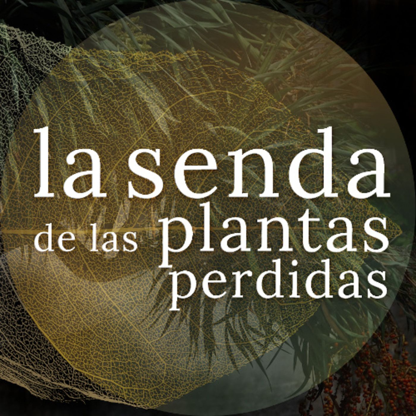 La Senda de las Plantas Perdidas
