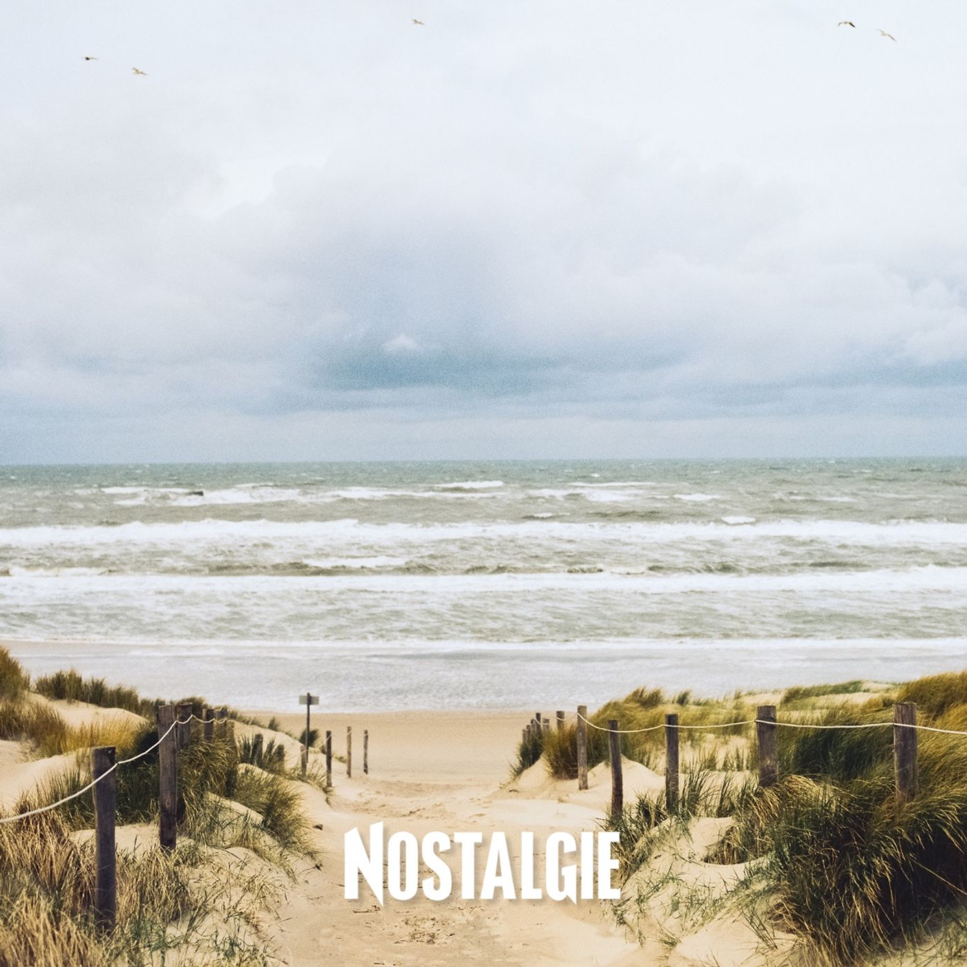Brice d'été : la côte belge, nos plages d'enfance et leurs 60 km de souvenirs inoubliables episode artwork