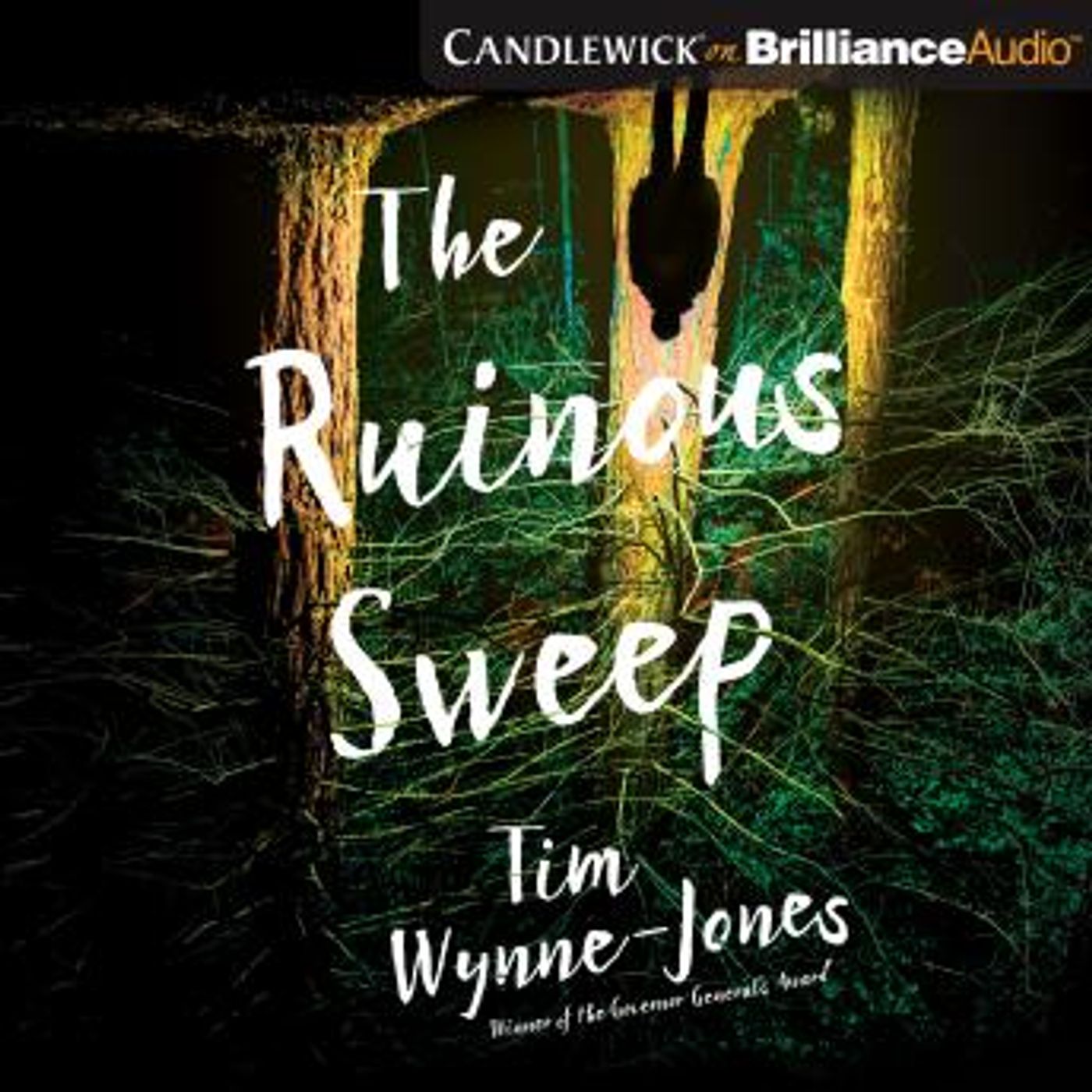 Download Top Full Audiobooks in Teen & YA, Tough Topics