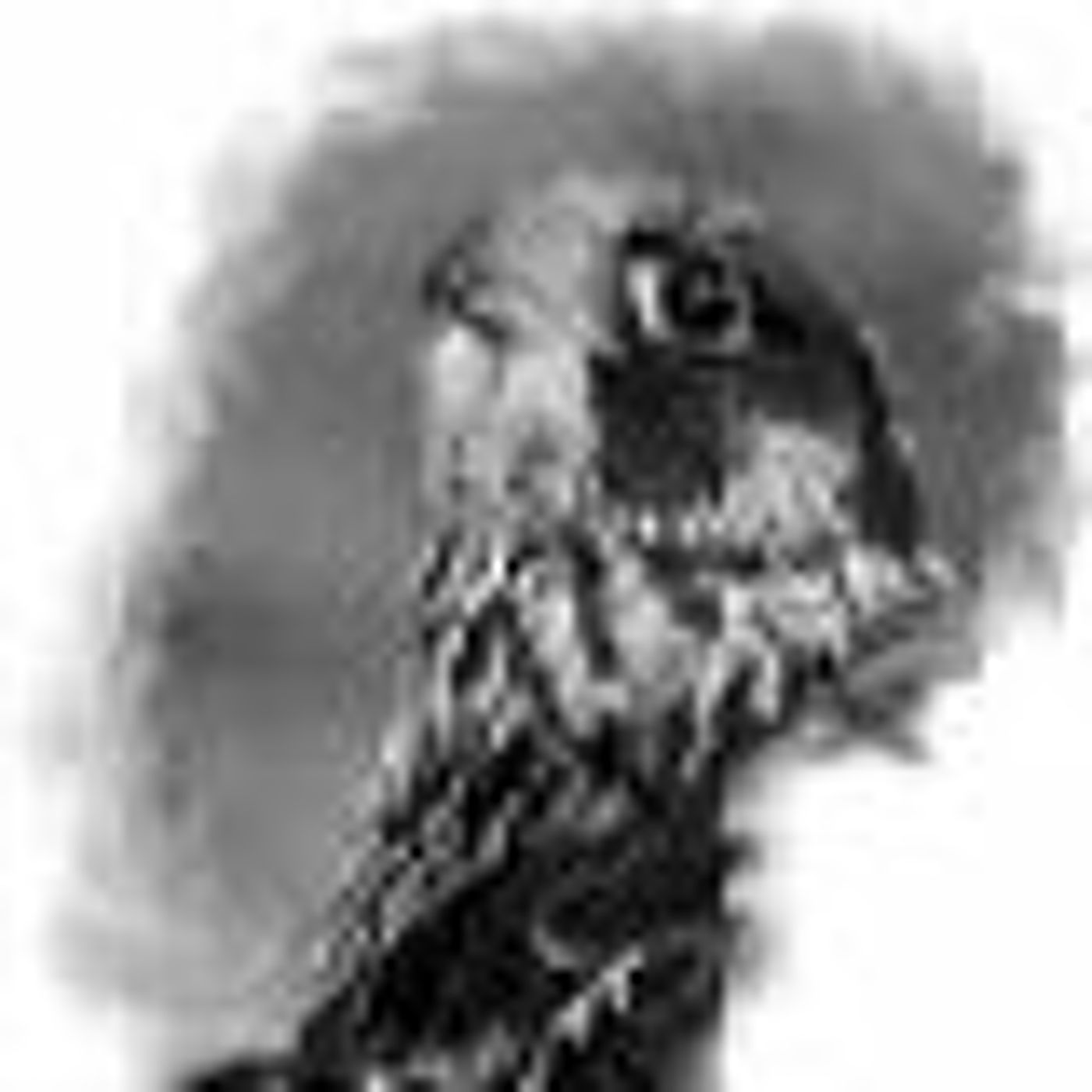 American Indian Airwaves