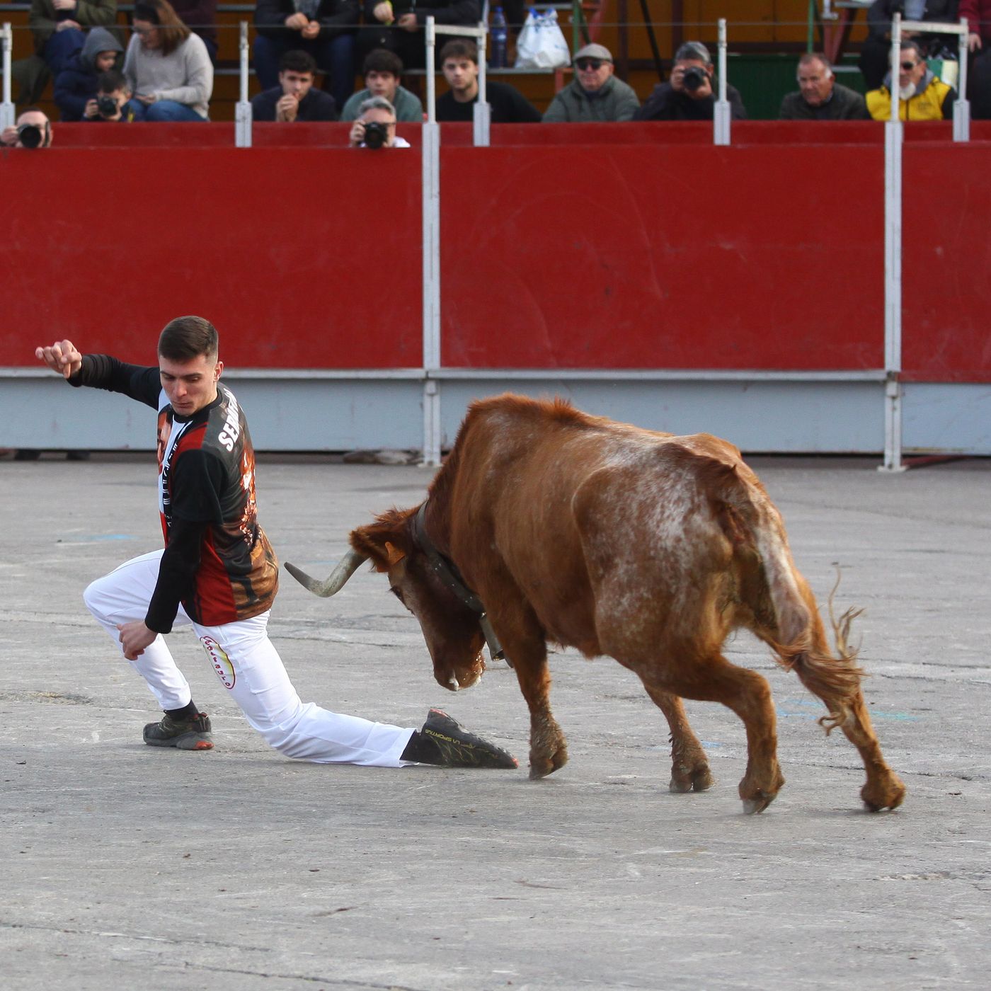Hablemos de Toros
