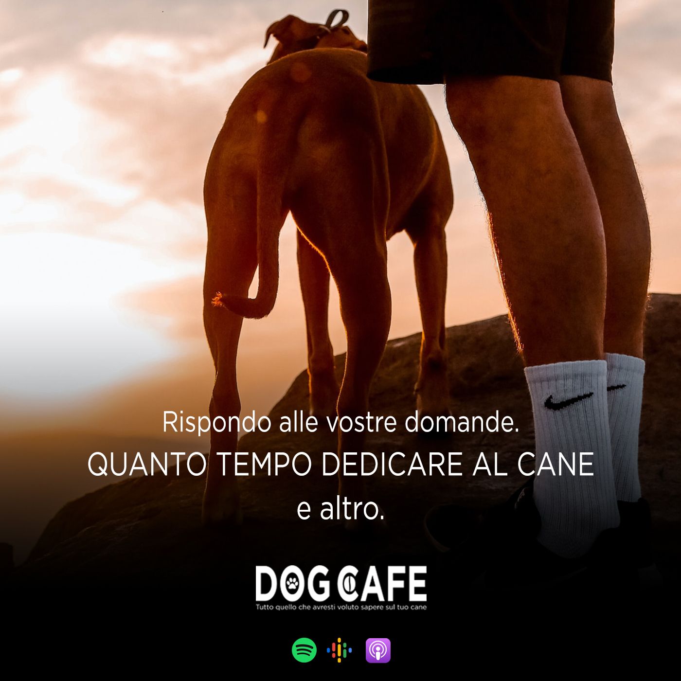 Dog Cafe Podcast