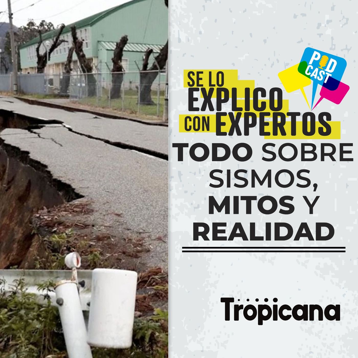 ¿Se pueden predecir los terremotos? Experto revela la verdad episode artwork