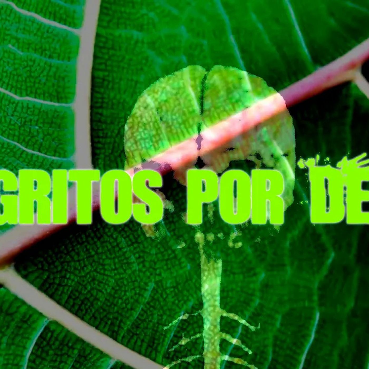 Portada de El Podcast de DrossRotzank