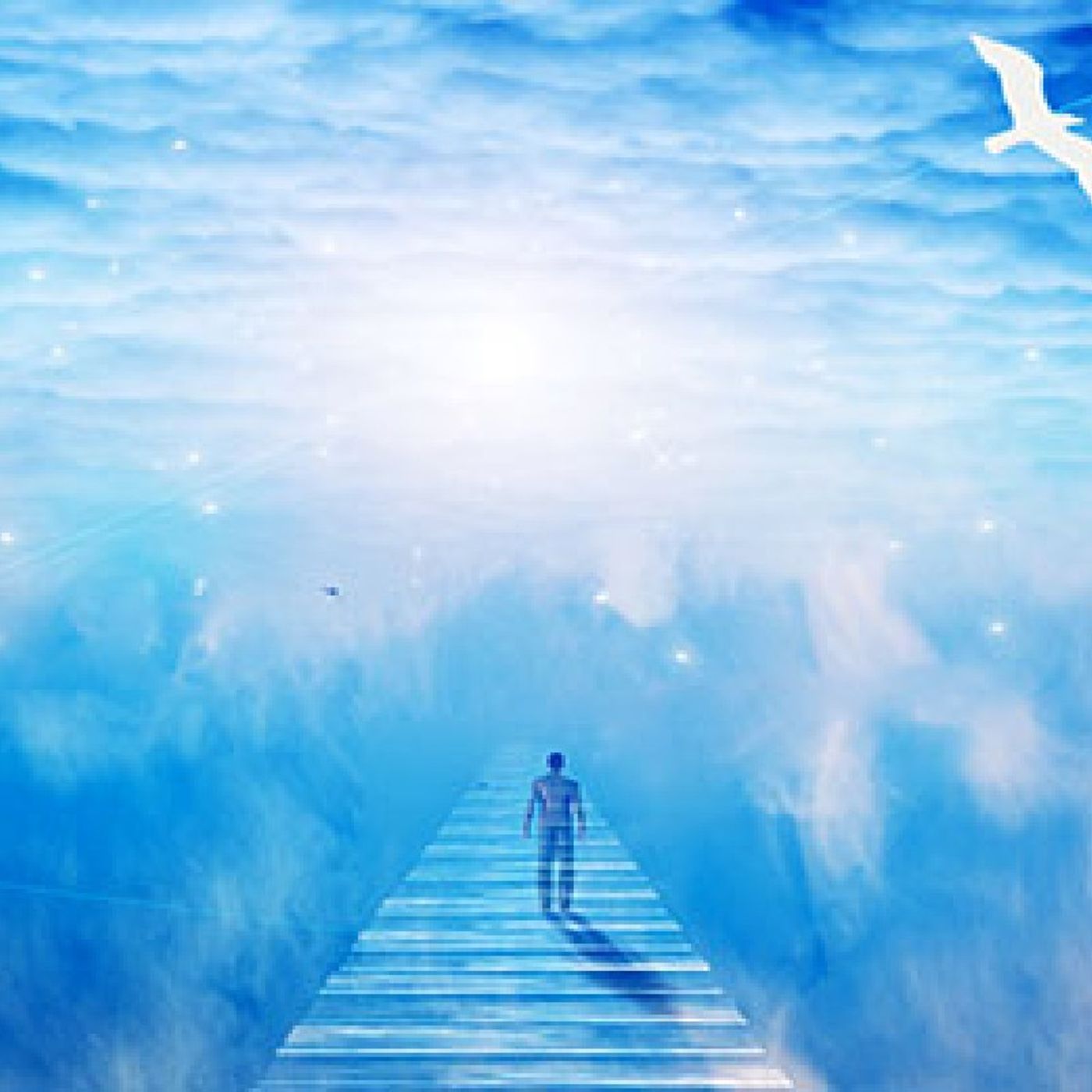 The Voice & The Purpose of Godly Holiness Pt3