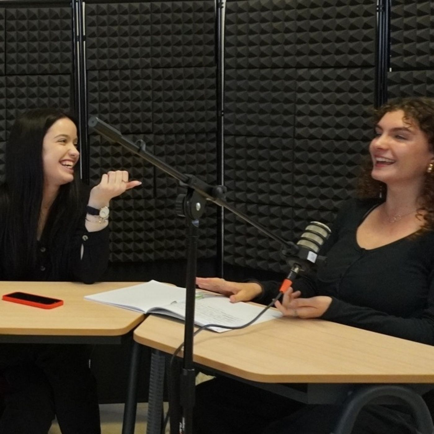 Quale lingua per la canzone europea?
