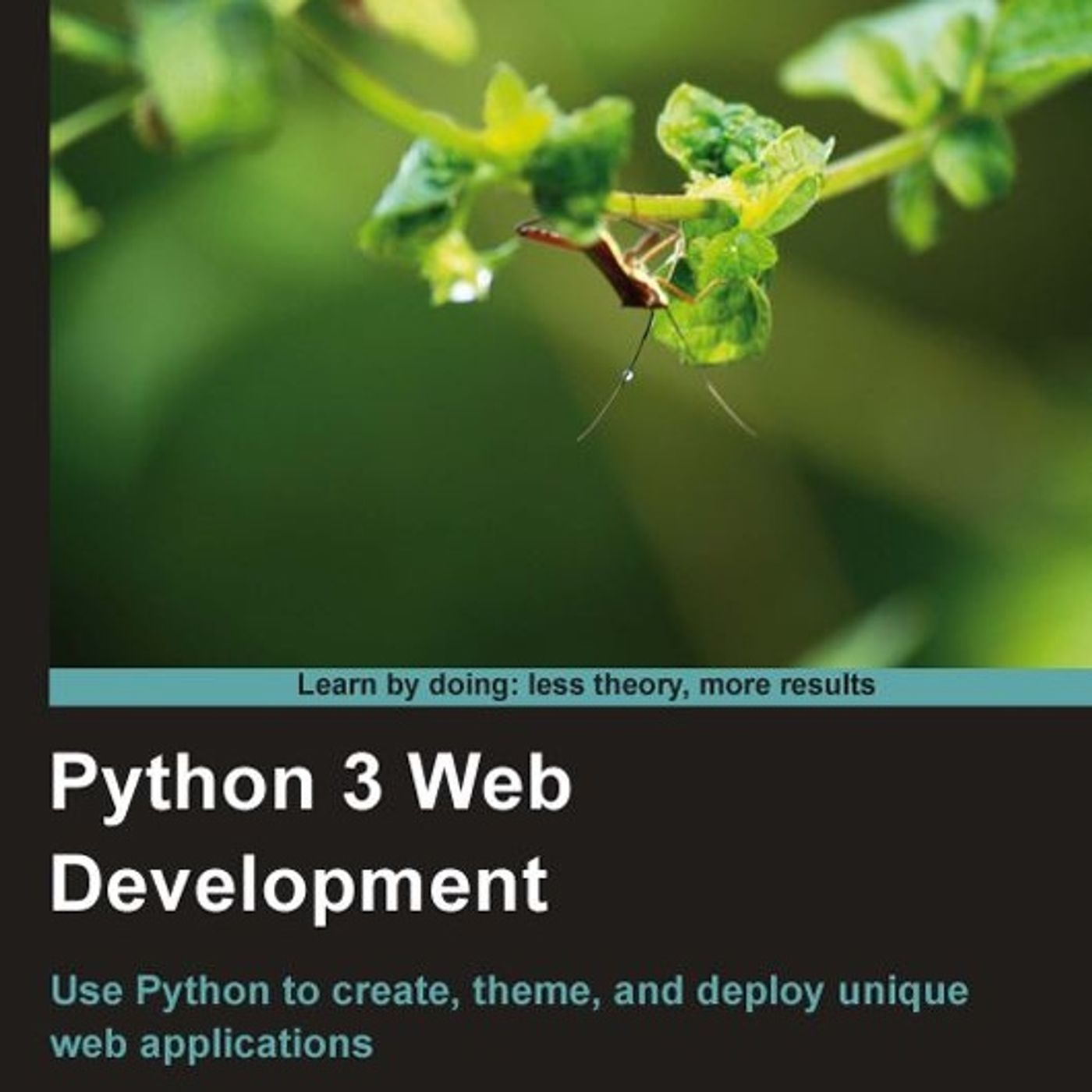 Python 3 Web Development Beginner's Guide
