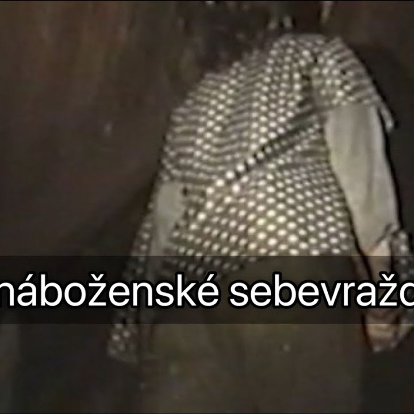 Tajemné náboženské sebevraždy v Česku 1 episode artwork