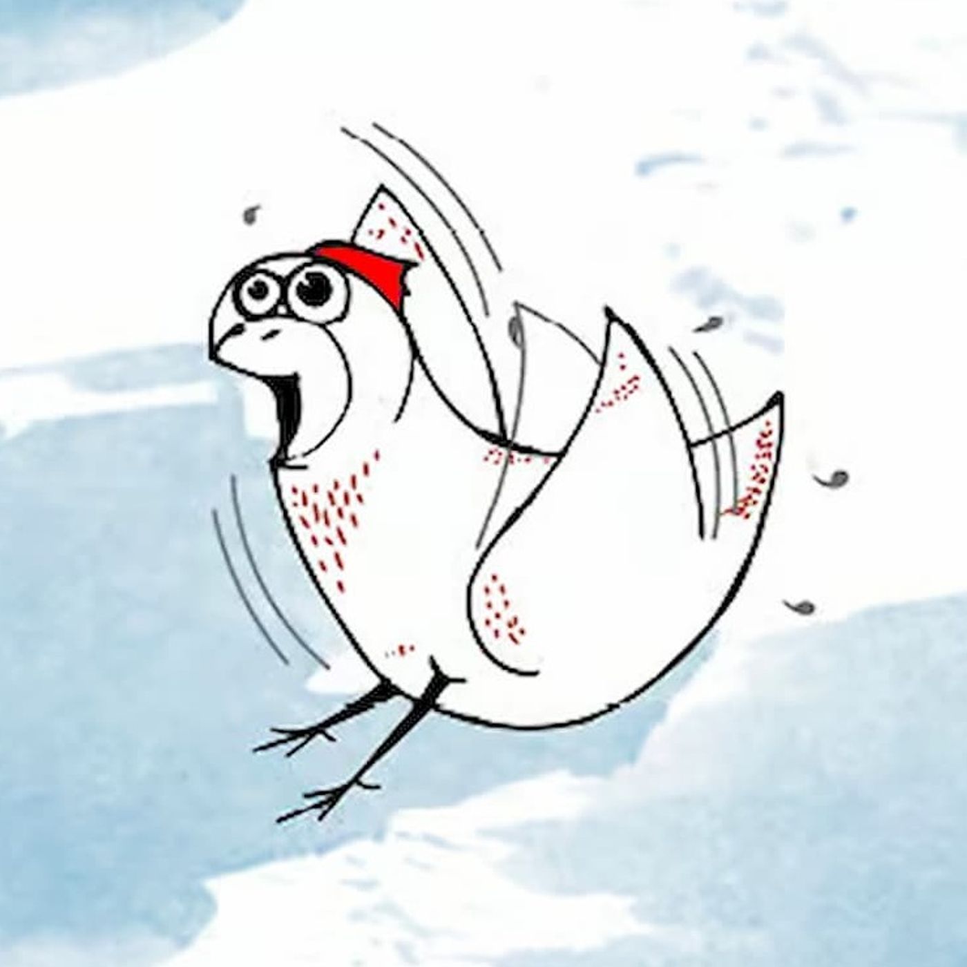 Amazing Daisy! | Animal Stories episode artwork