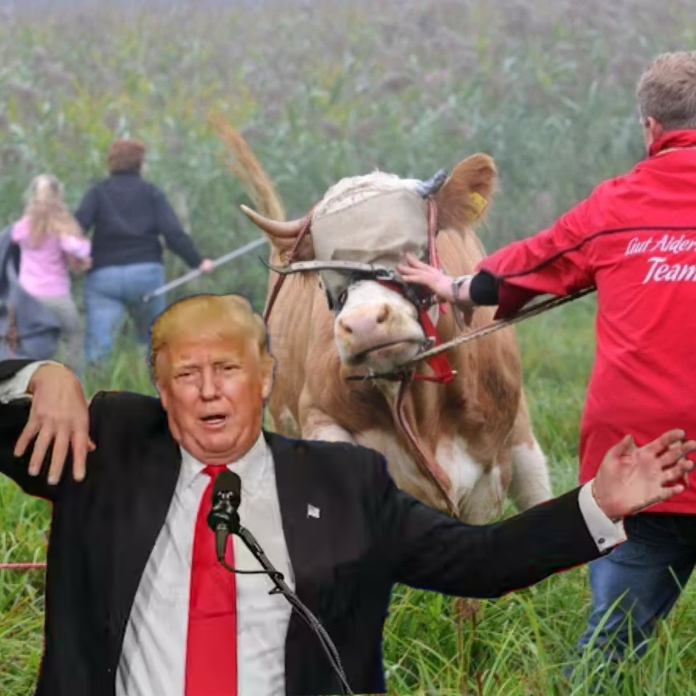 Cows, Guns, and MAGA’s Awkward Comparisons