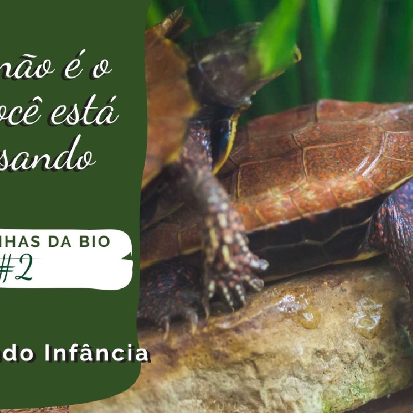BioCast - O Fantástico Mundo da Biologia