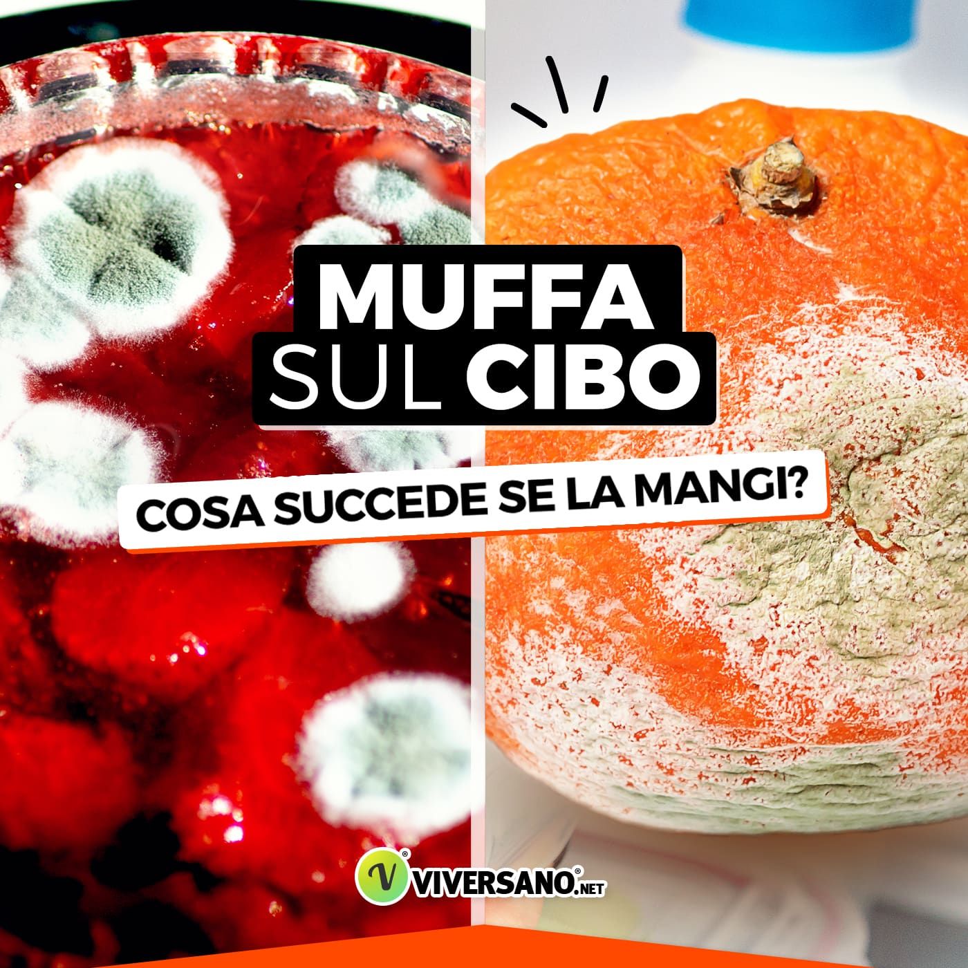 Imparare a Mangiar Sano