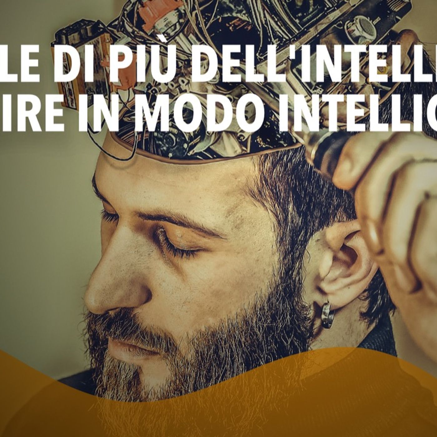 Ci vuole di più dell'intelligenza per agire in modo intelligente episode artwork