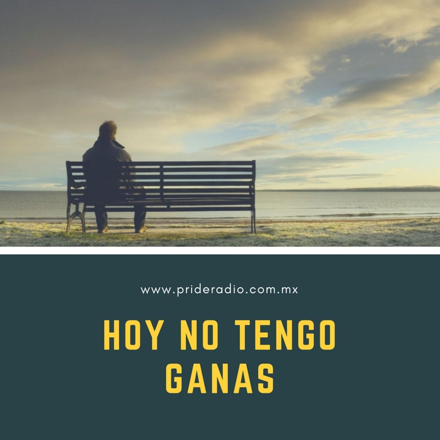 Hoy no tengo ganas. episode artwork
