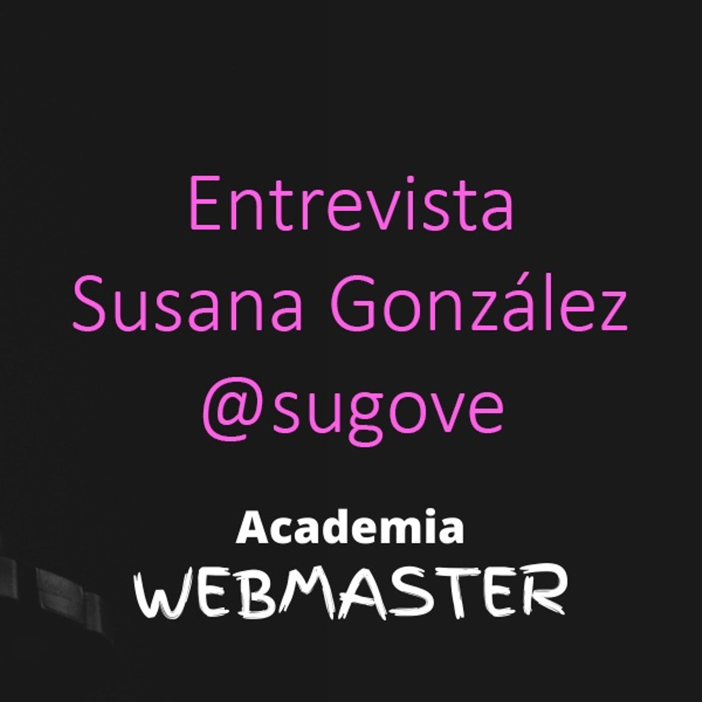 Academia Webmaster
