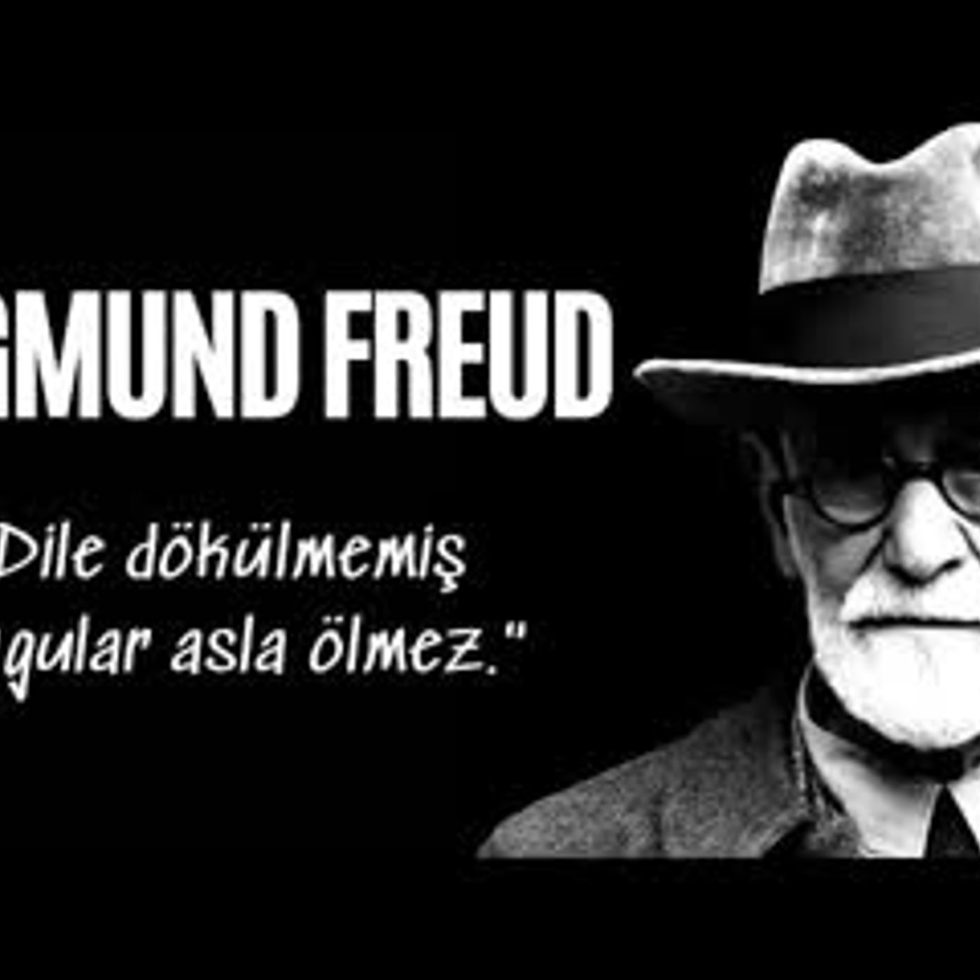 Sigmund Freud İnsanlığa Neler Kazandırdı - Sesli Kitap Dinle