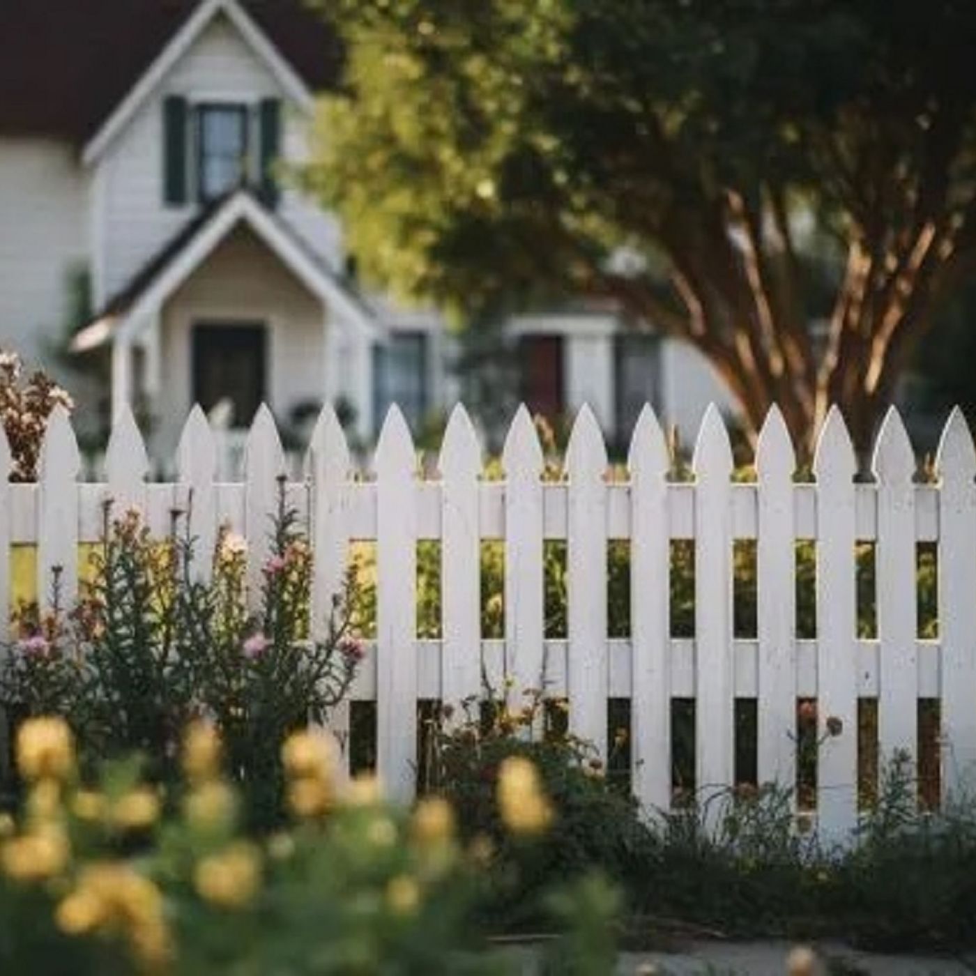 Chain Link Fence Installation Guide