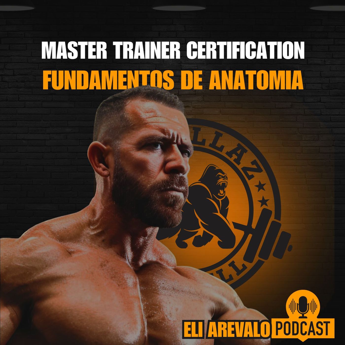 MTC | Fundamentos de anatomía