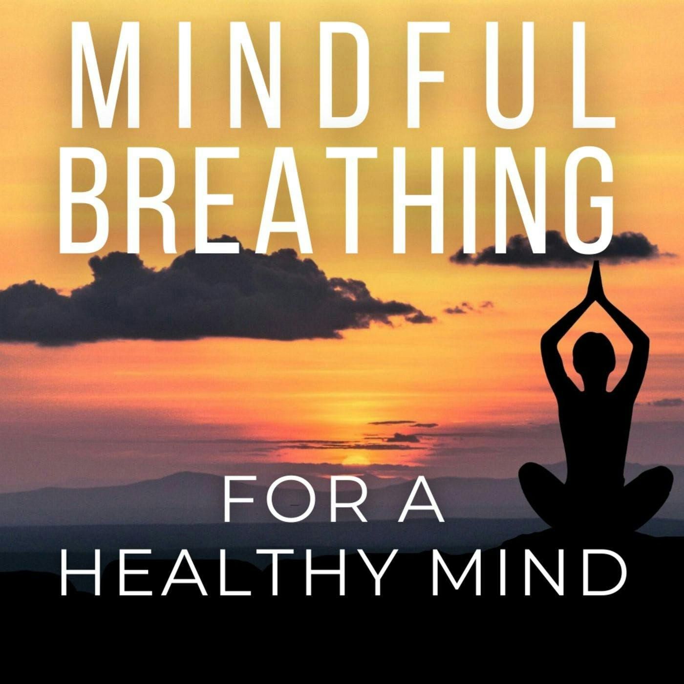 Daytime Meditation for Mindful Breathing for a Healthy Mind episode artwork