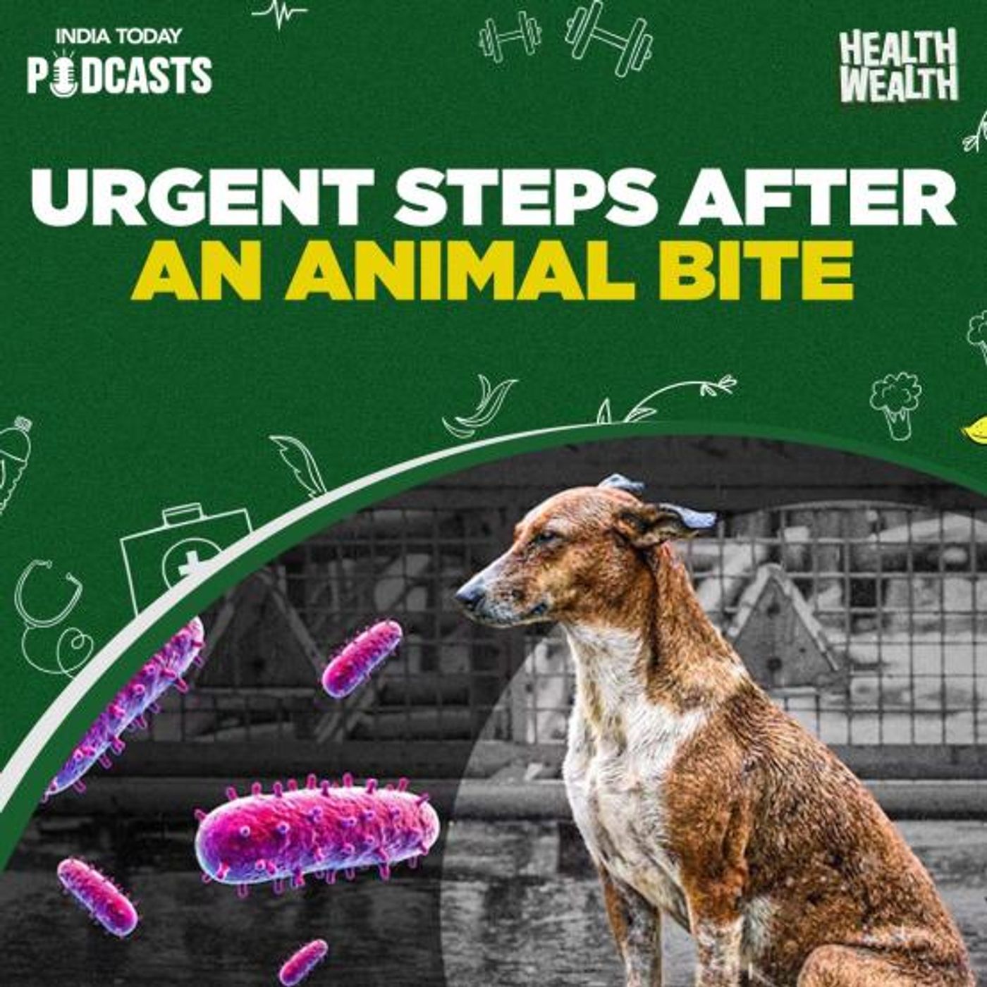 Can vaccinated pets carry rabies? | Health Wealth S2 Ep 23 Can vaccinated pets carry rabies? | Health Wealth S2 Ep 23