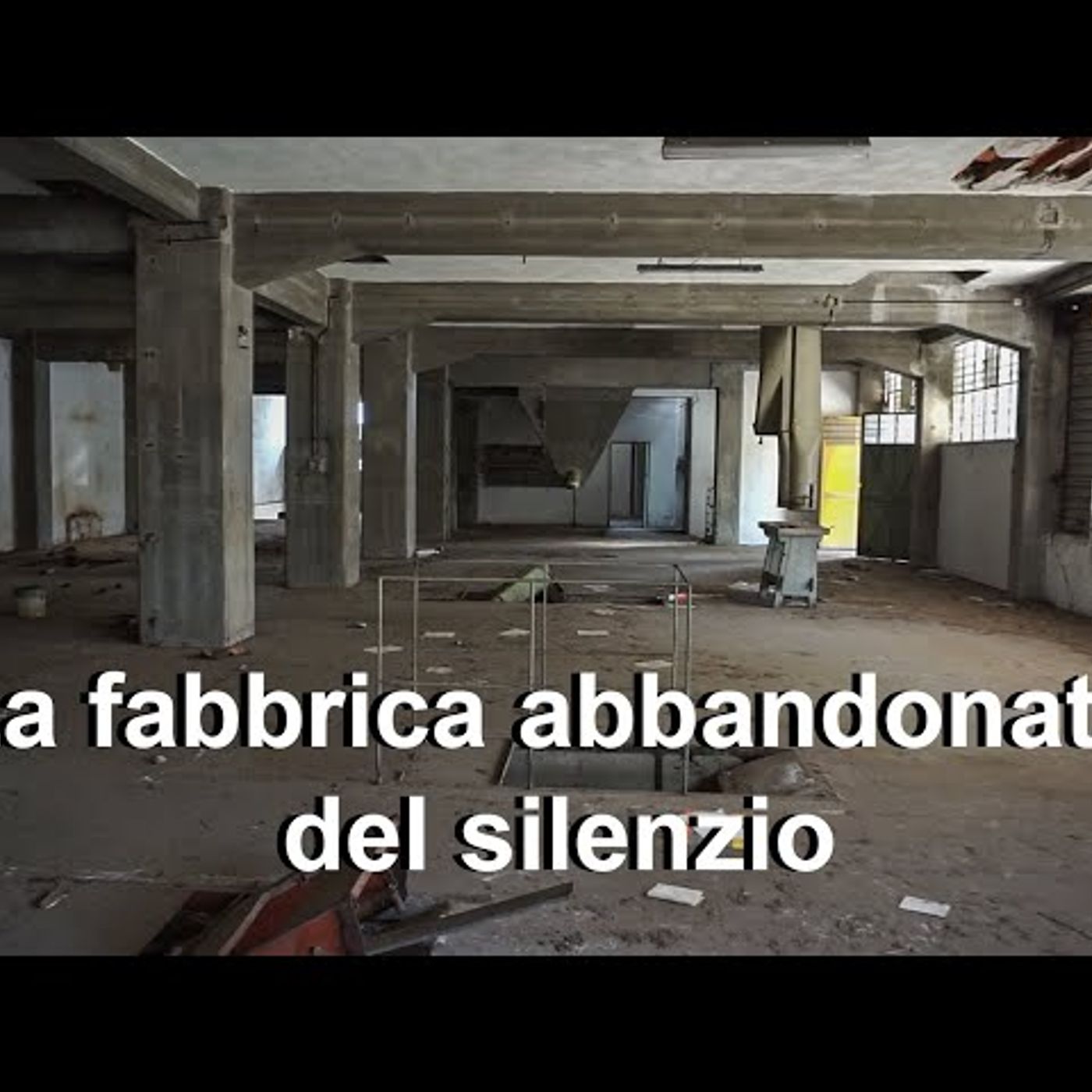 "Svegliaaaa Bastardiii !!!" 311