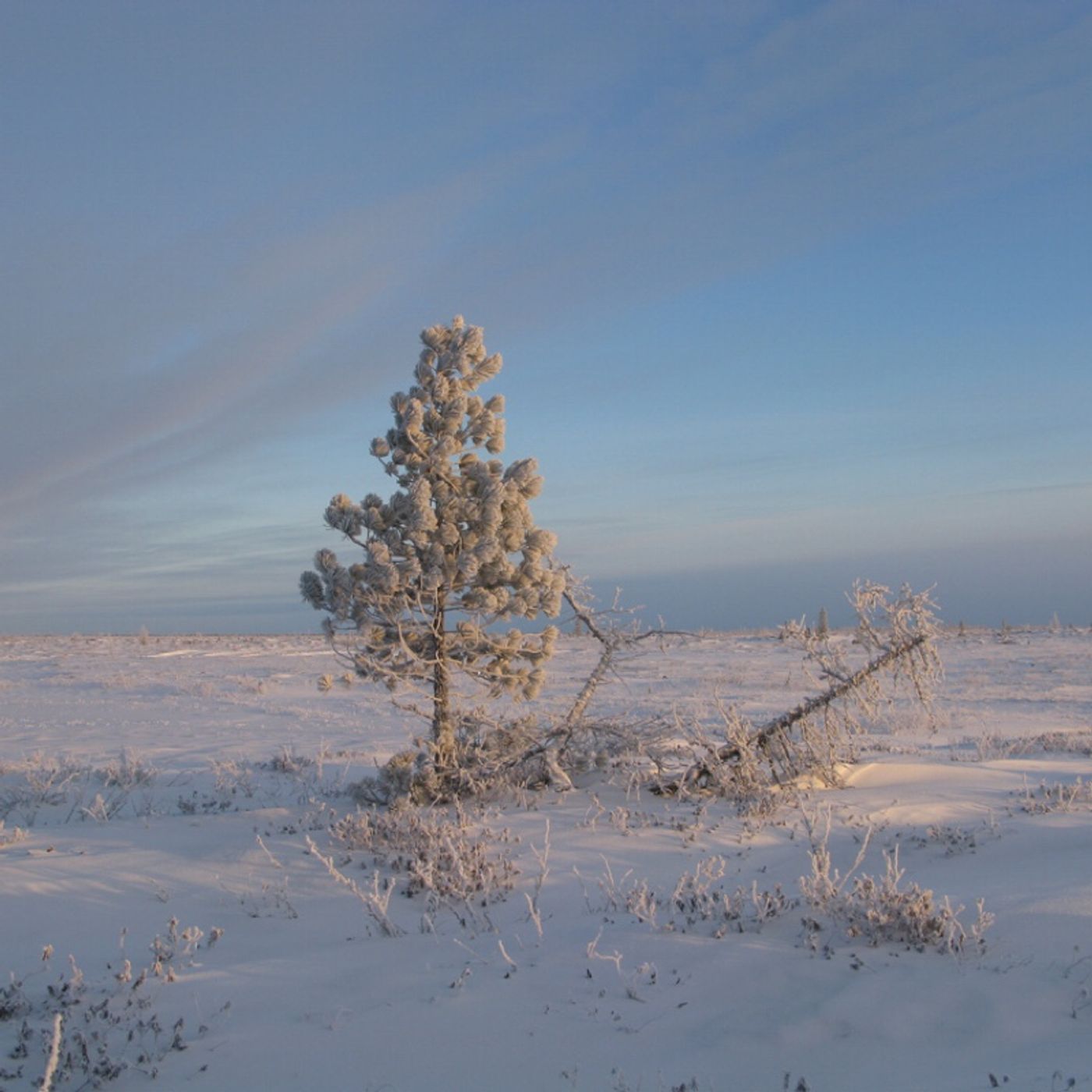 Эпизод # 17  Про Крайний Север. Часть 2.