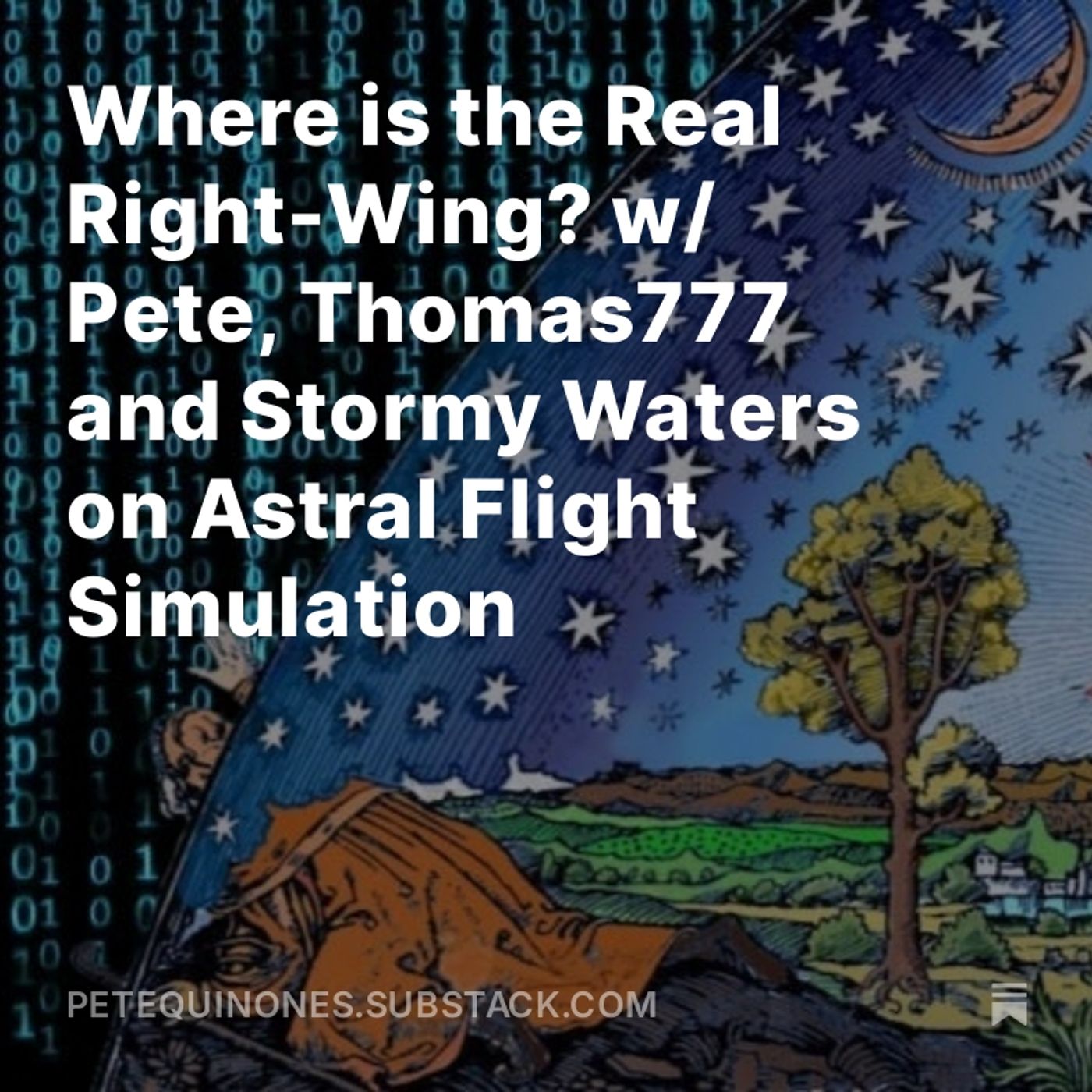 Where is the Real Right-Wing? w/ Pete, Thomas777 and Stormy Waters on Astral Flight Simulation