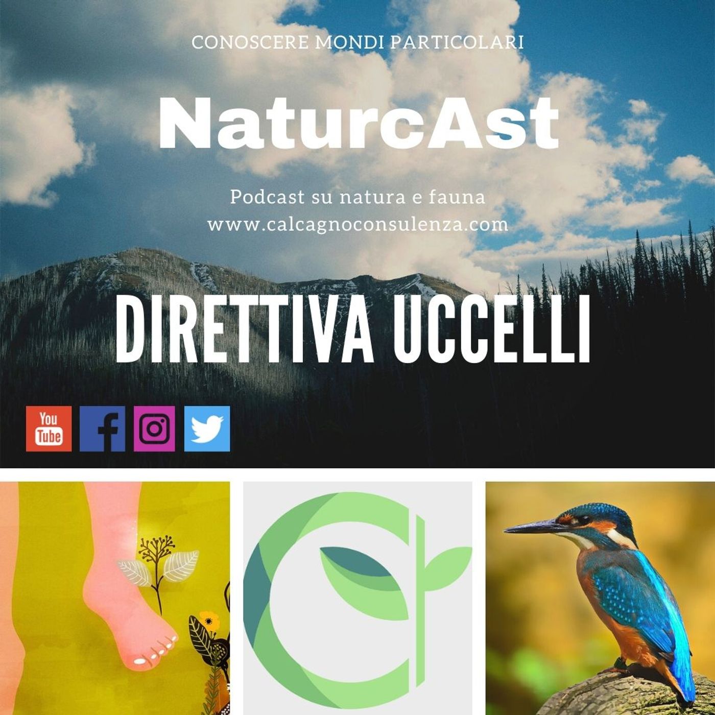NaturcAst