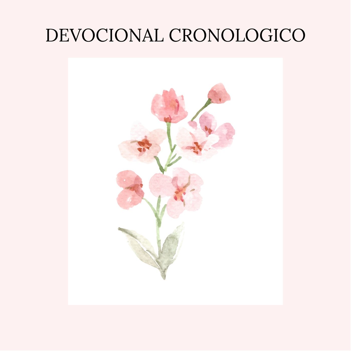 Voces Del Desierto