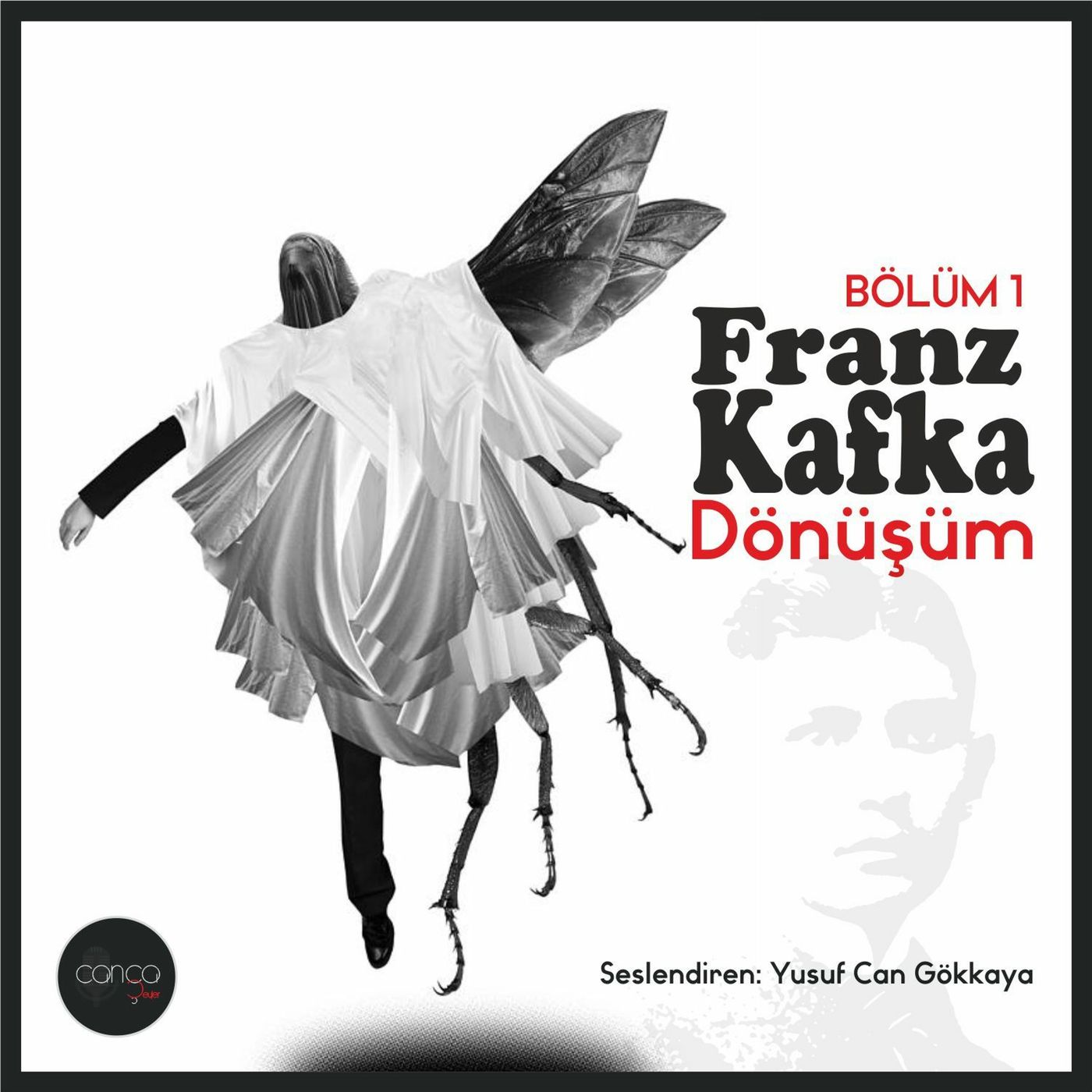 Franz Kafka - Dönüşüm (Bölüm 1) episode artwork