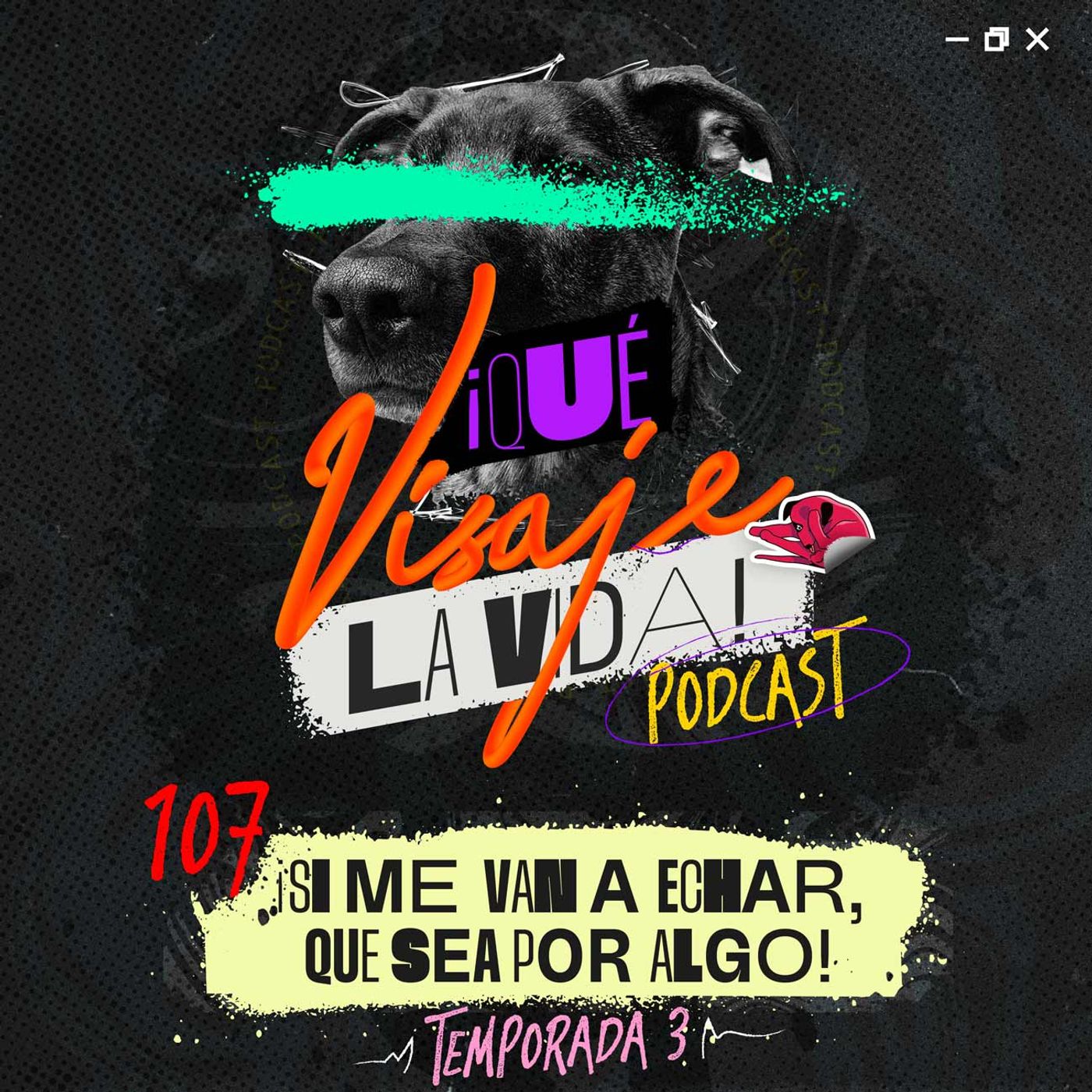 ¡Qué visaje la vida!