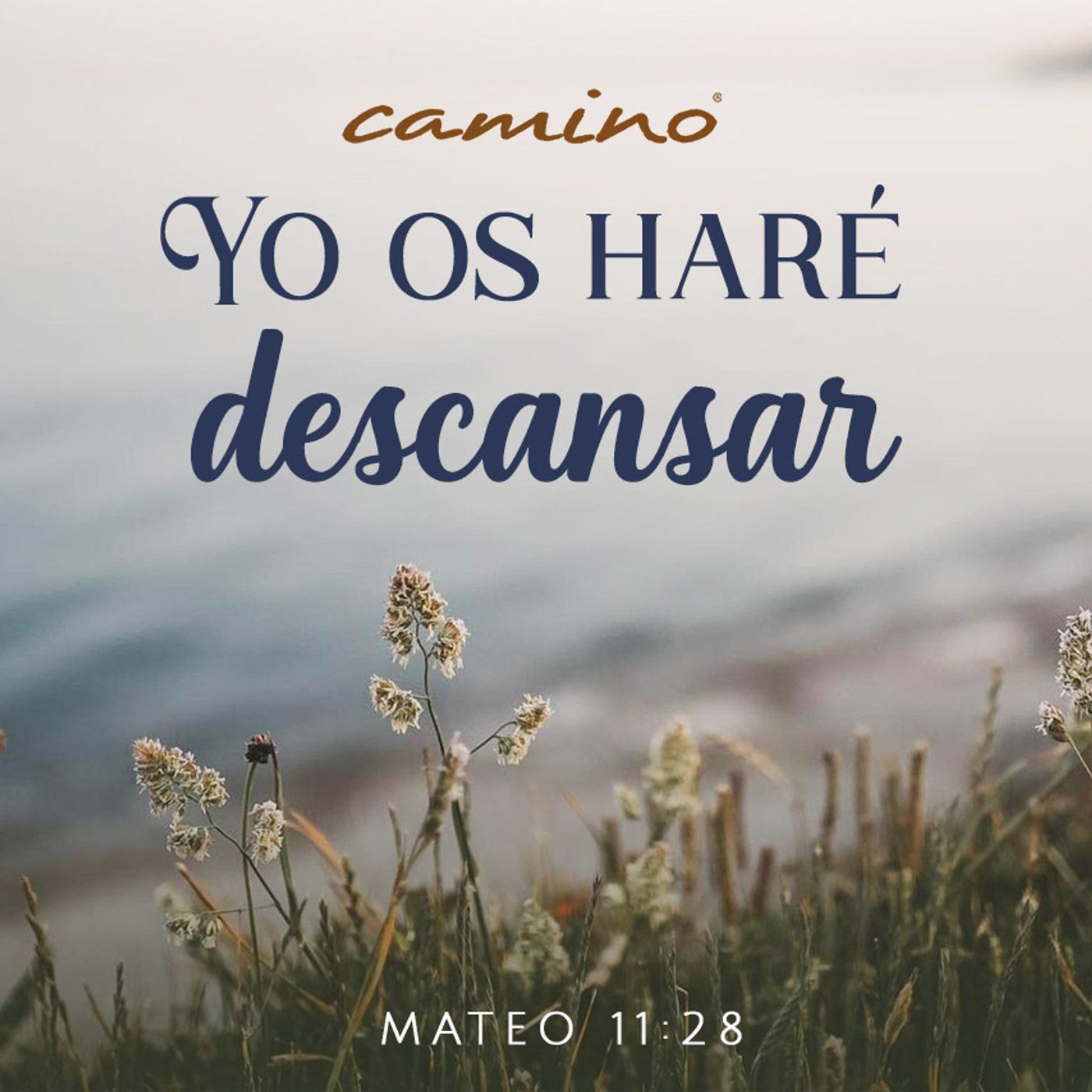 Oración 20 de julio (Yo os haré descansar) episode artwork