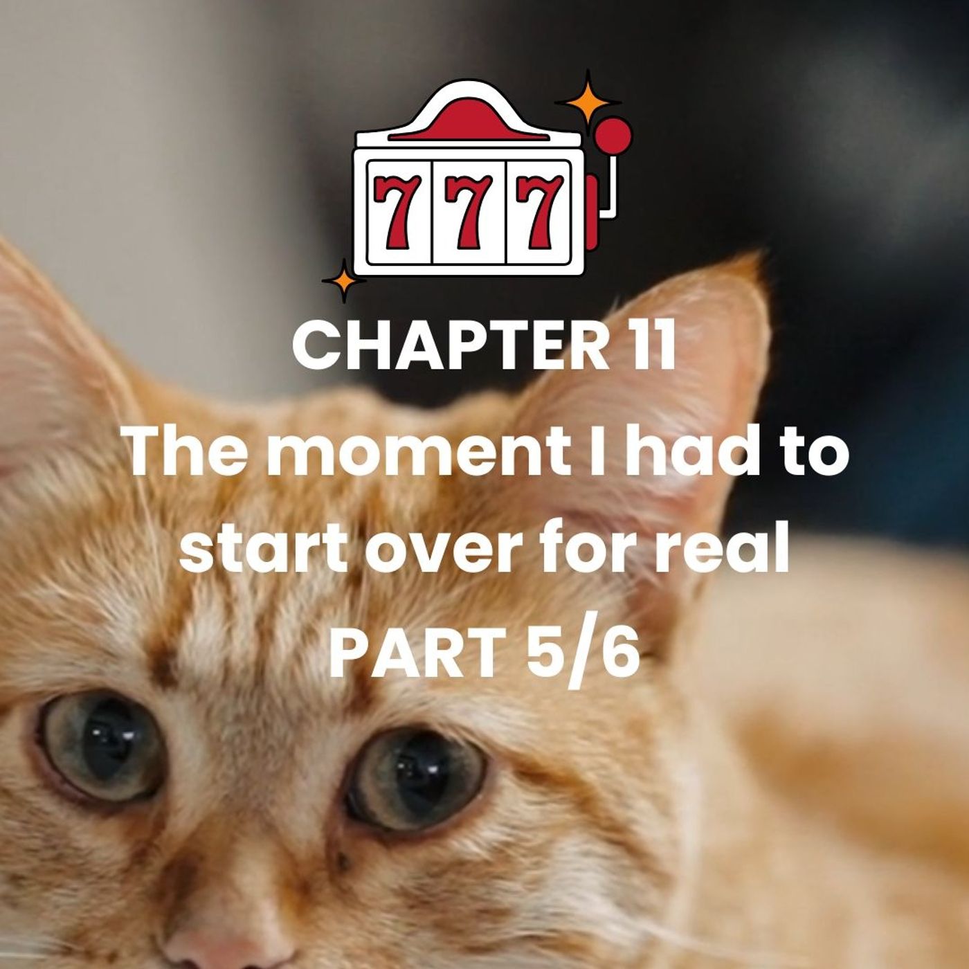 CHAPTER 11 - Part 5 - My cat: a heartbreaking decision episode artwork