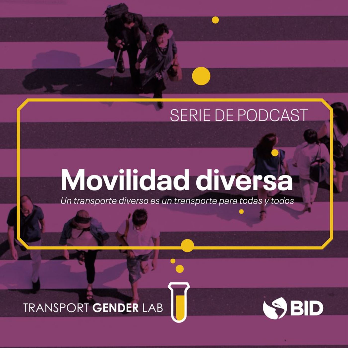 Movilidad Diversa