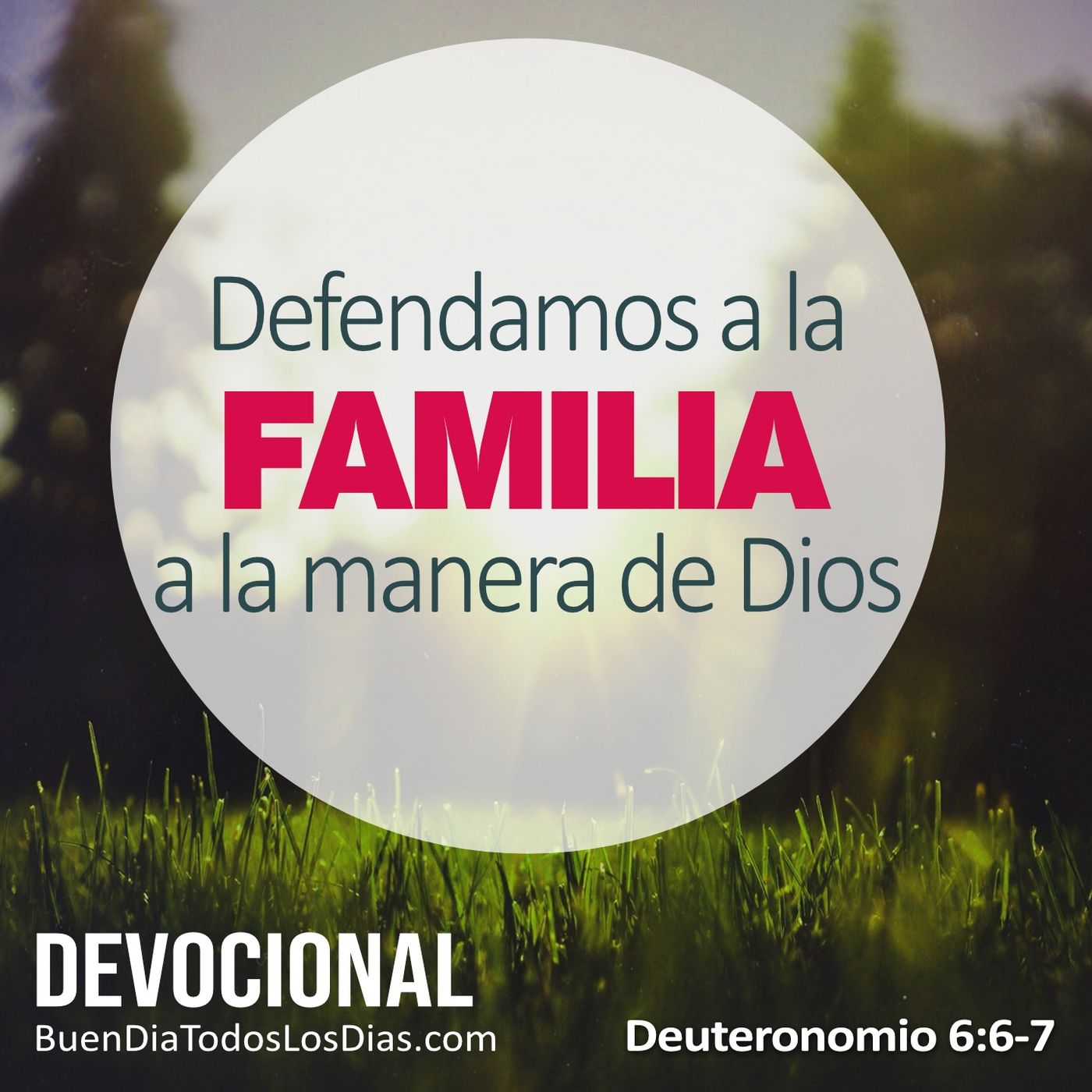 Dios creó la familia episode artwork