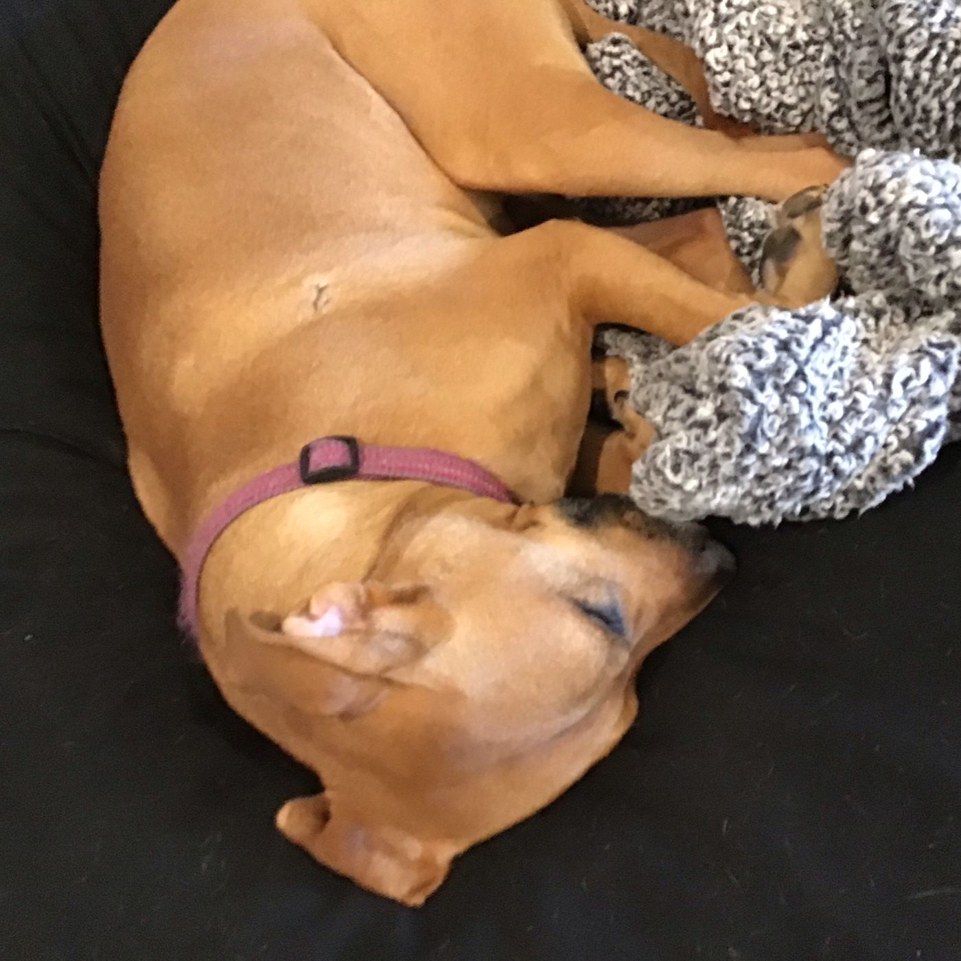 Reality Show cover art