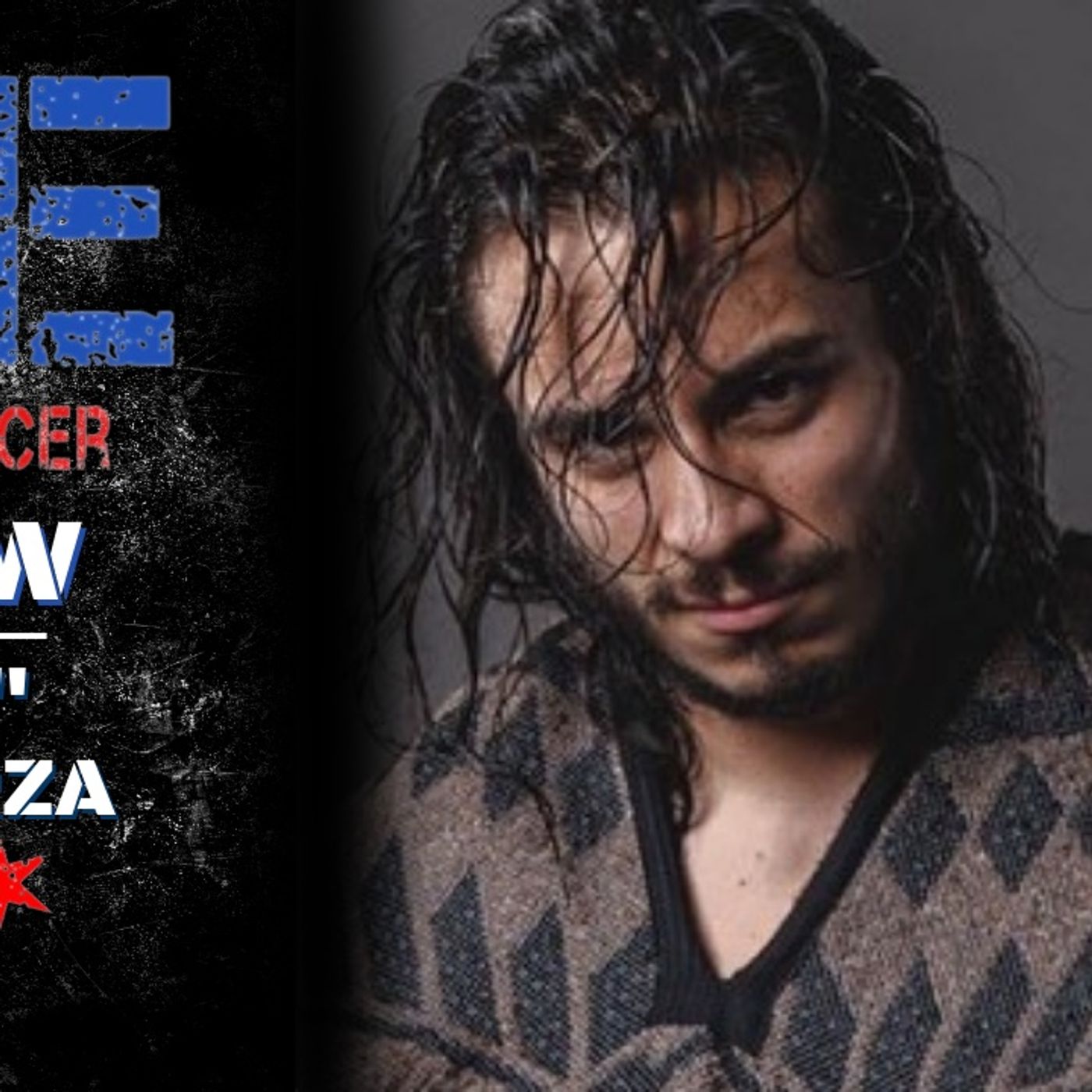 Pro Wrestling Enforcer Podcast