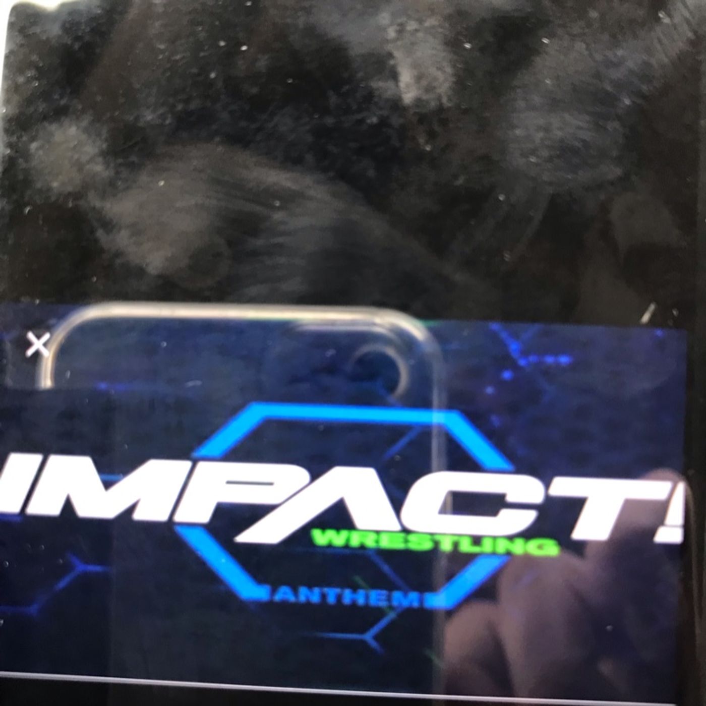 Impact Review